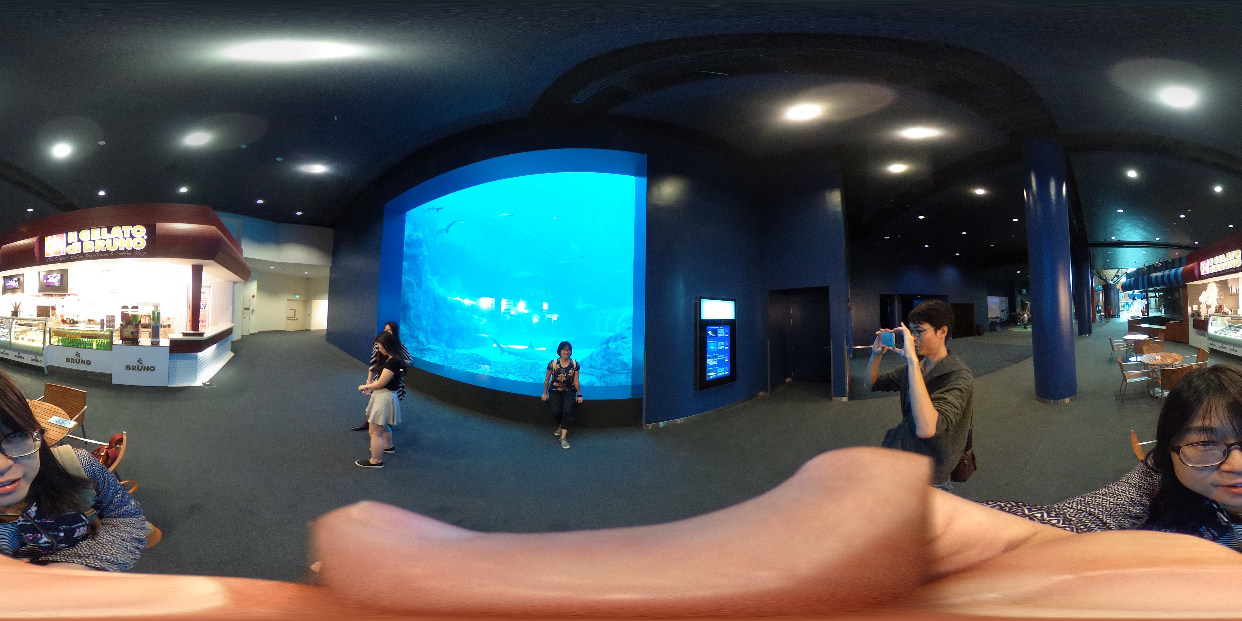 Interactive Aquarium Display Hall