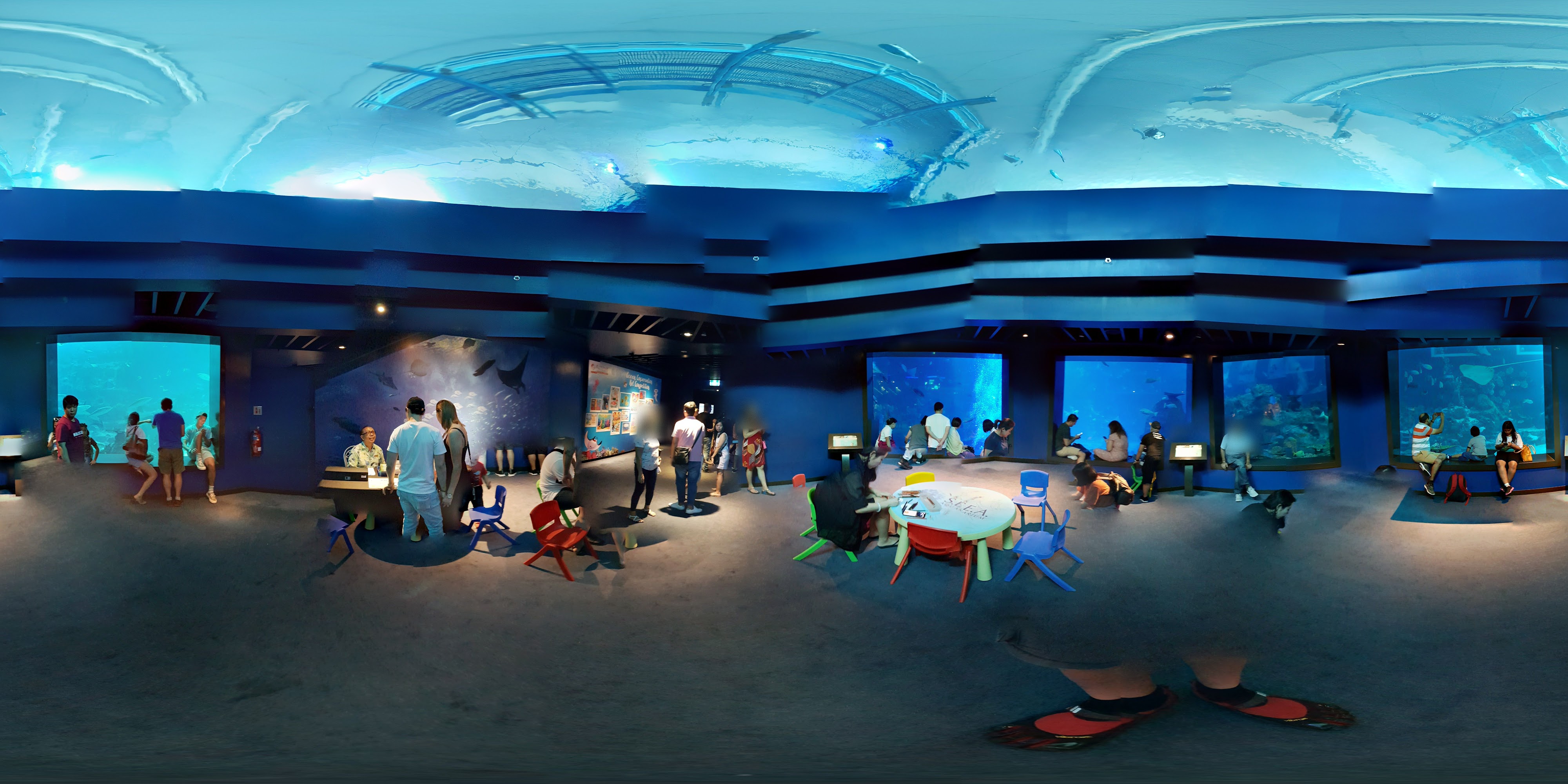 Underwater Aquarium Educational Space