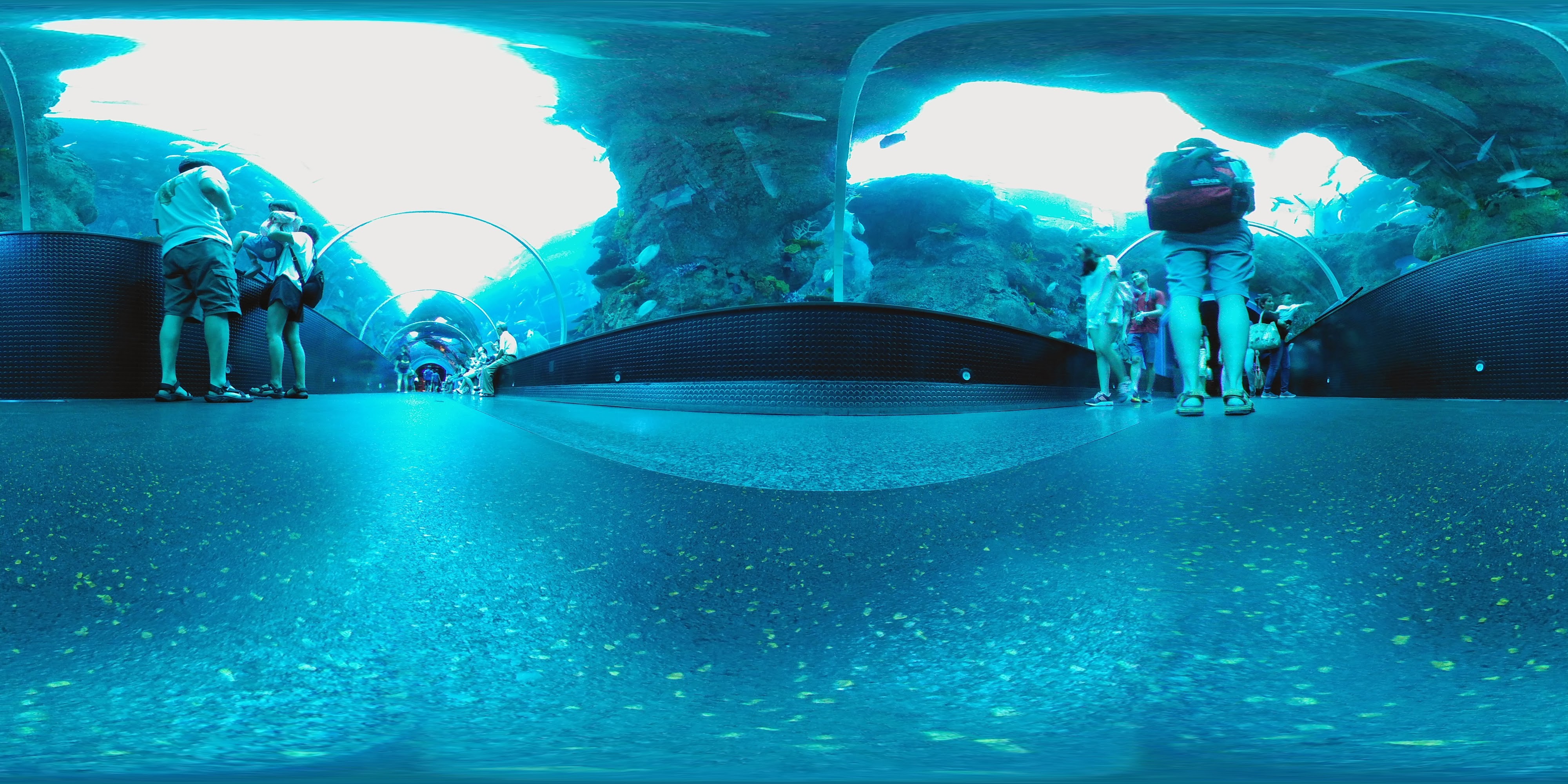 Underwater Tunnel Aquarium Experience