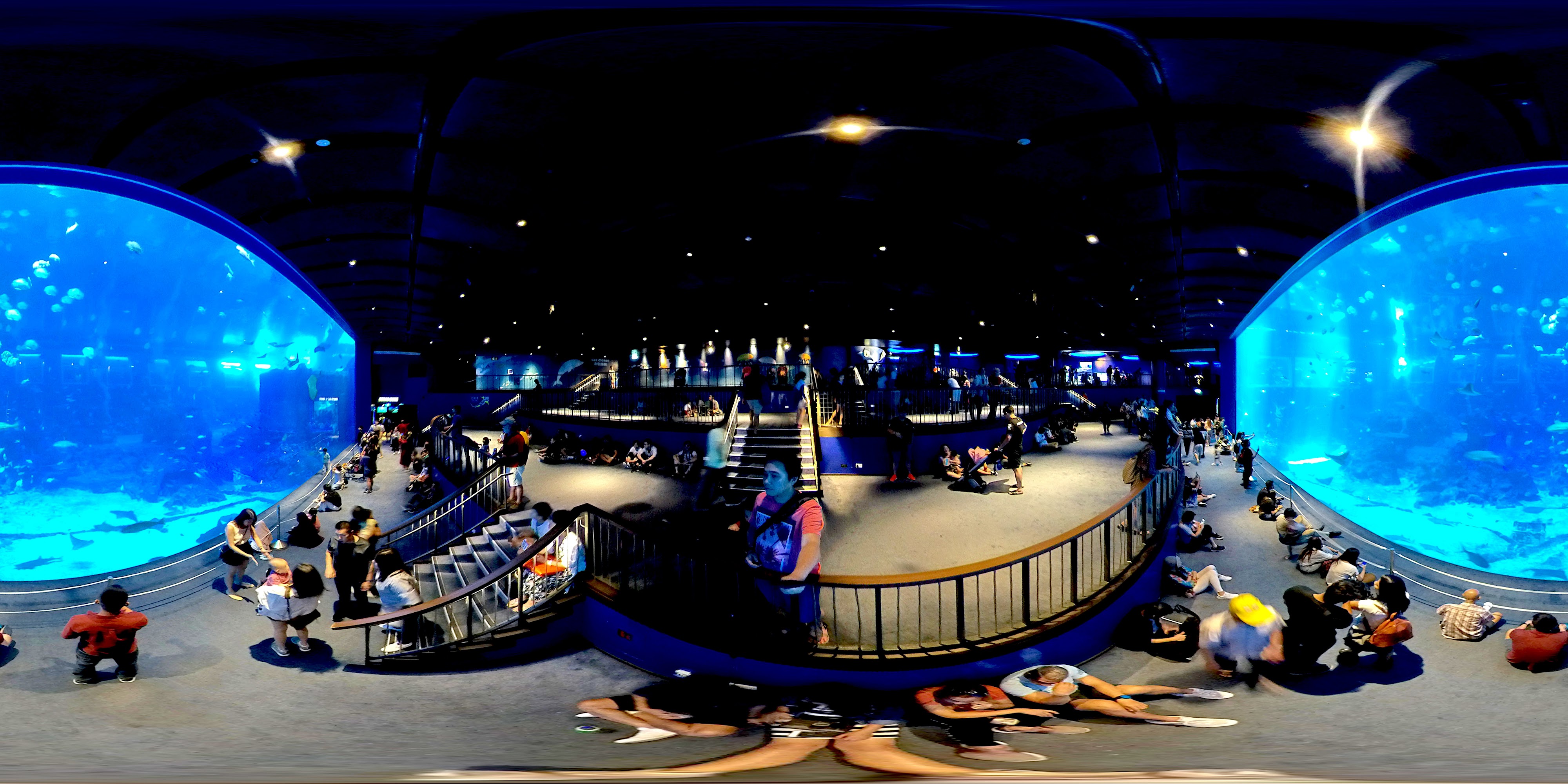 Aquarium Visitor Observation Level