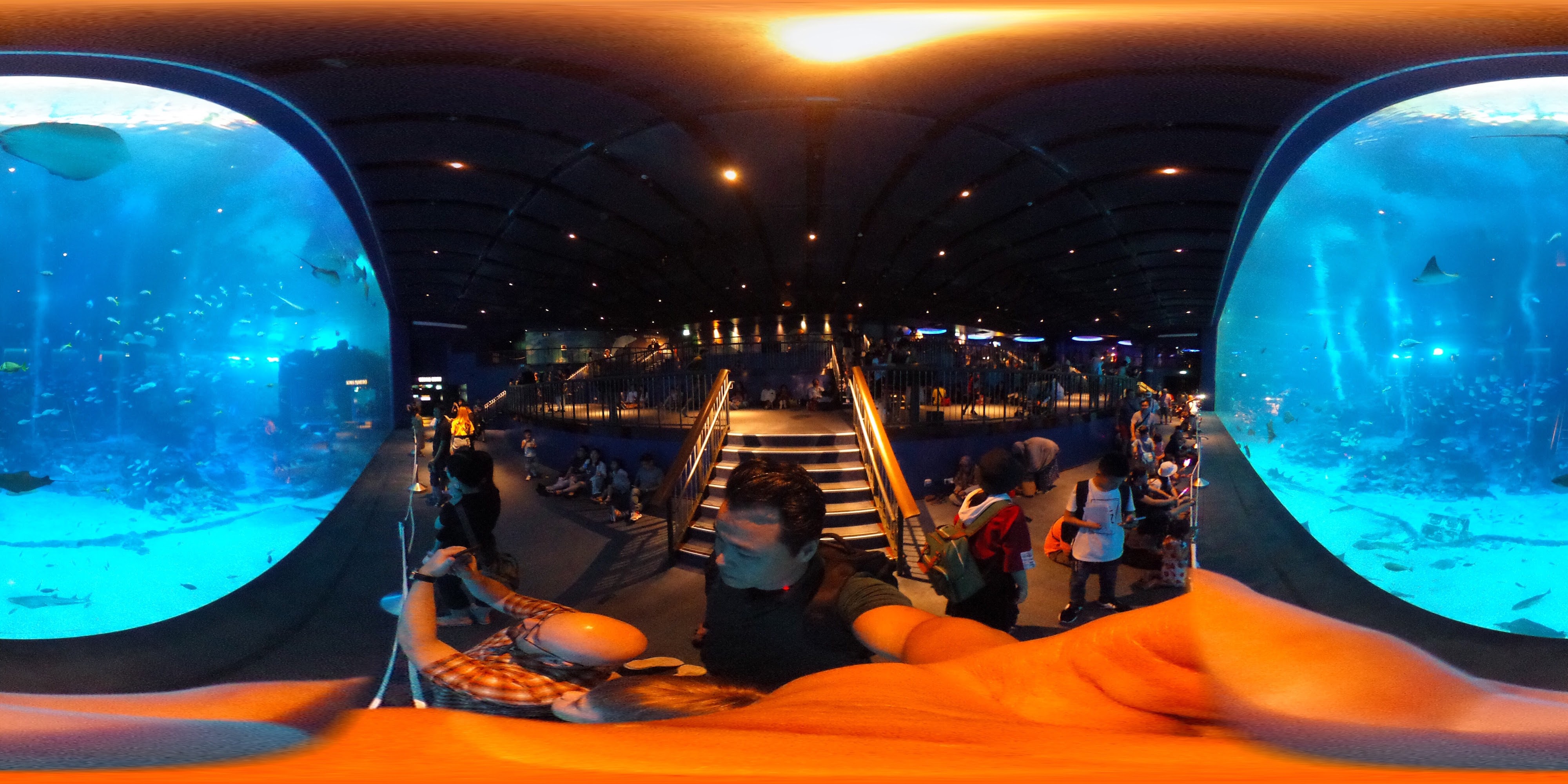 Aquarium Tunnel Experience.