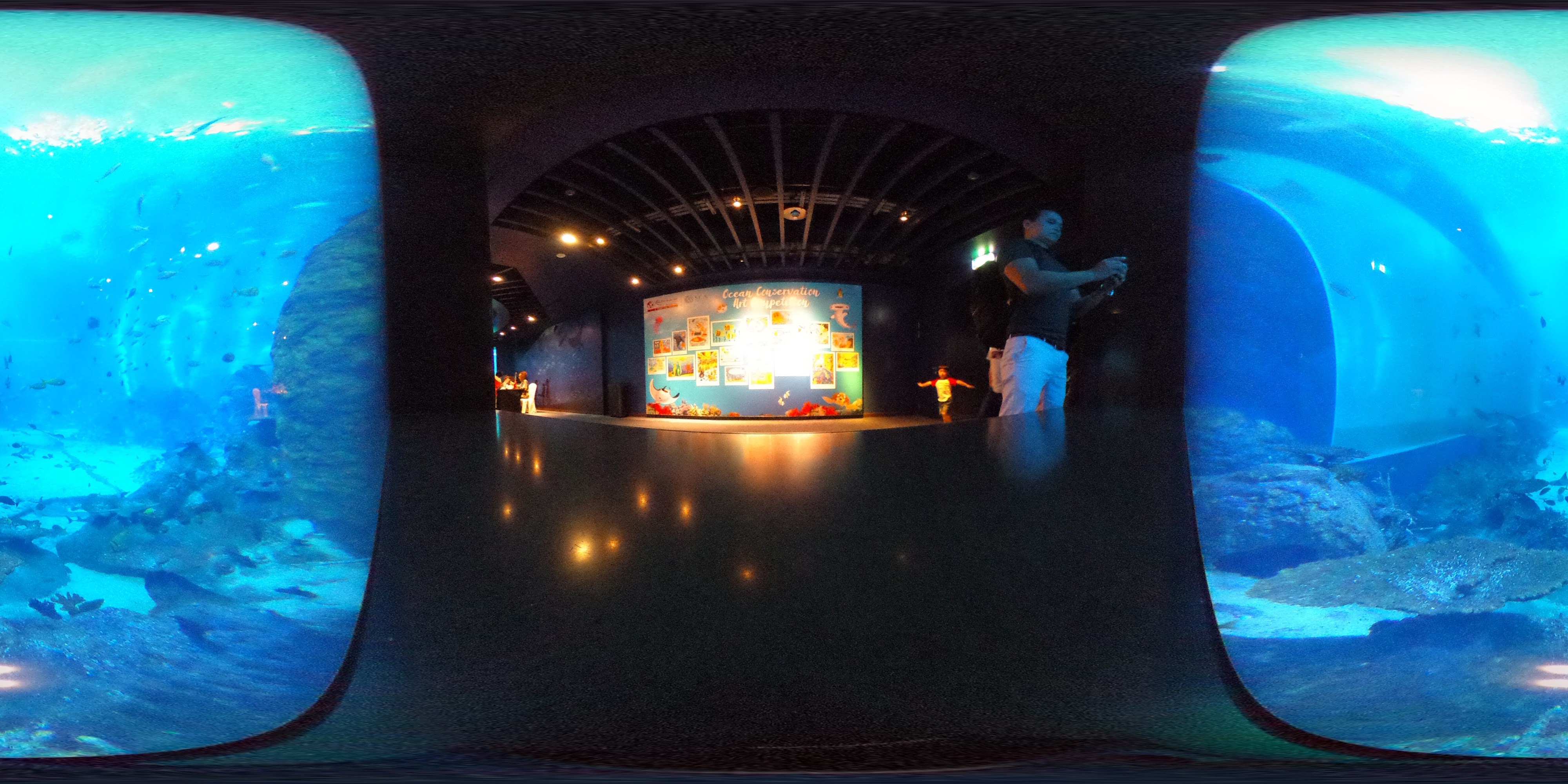 Dynamic Aquatic Conservation Theater