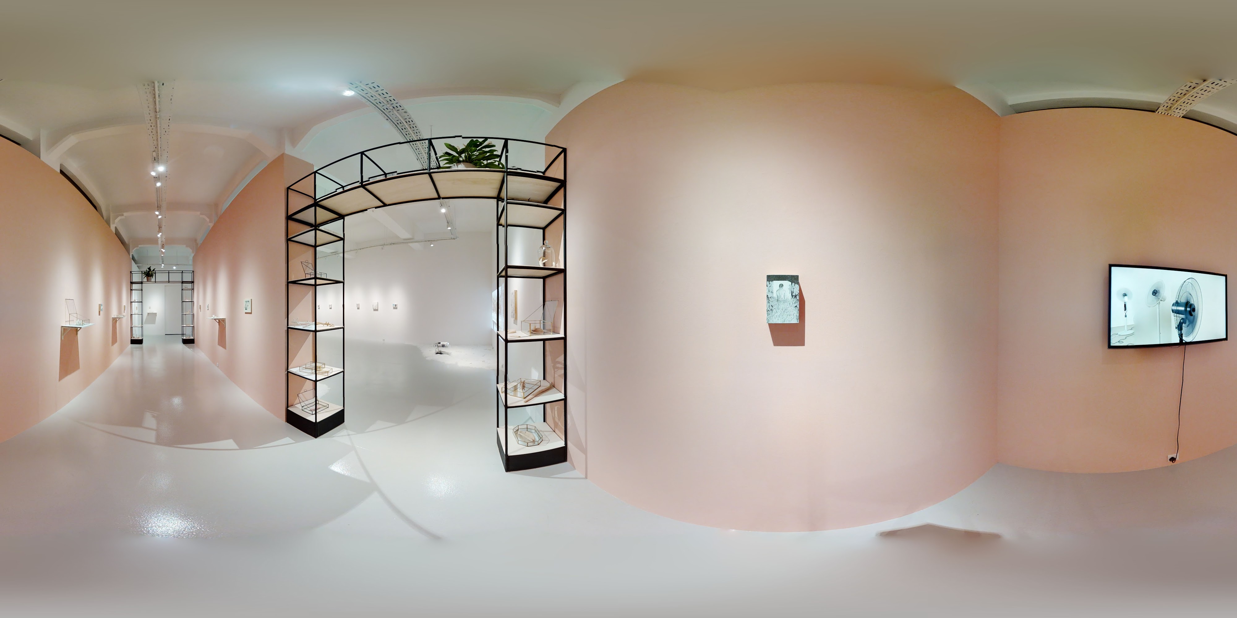 Contemporary Sculptures and Exhibits