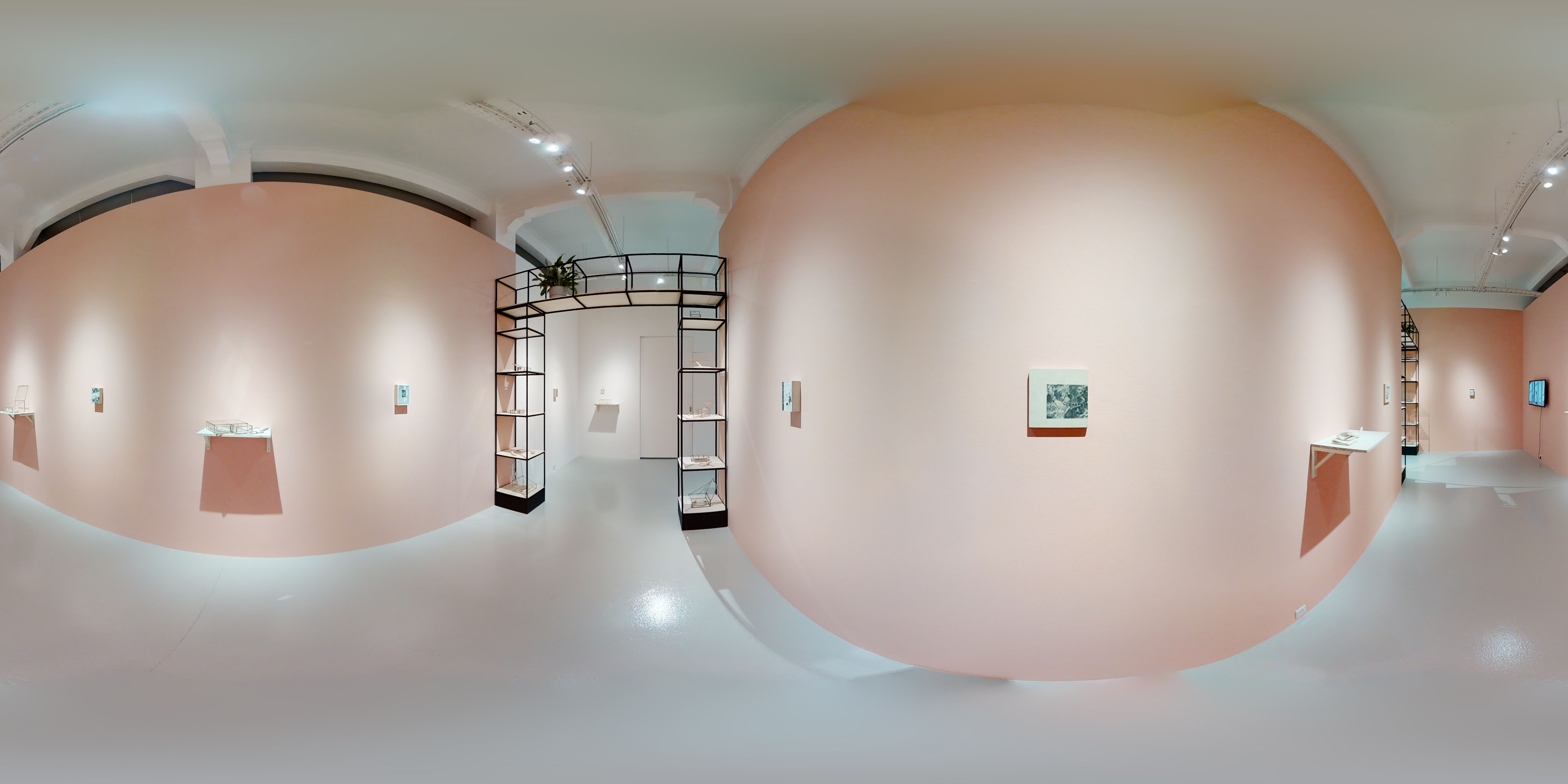 Gallery Space Exhibition Display