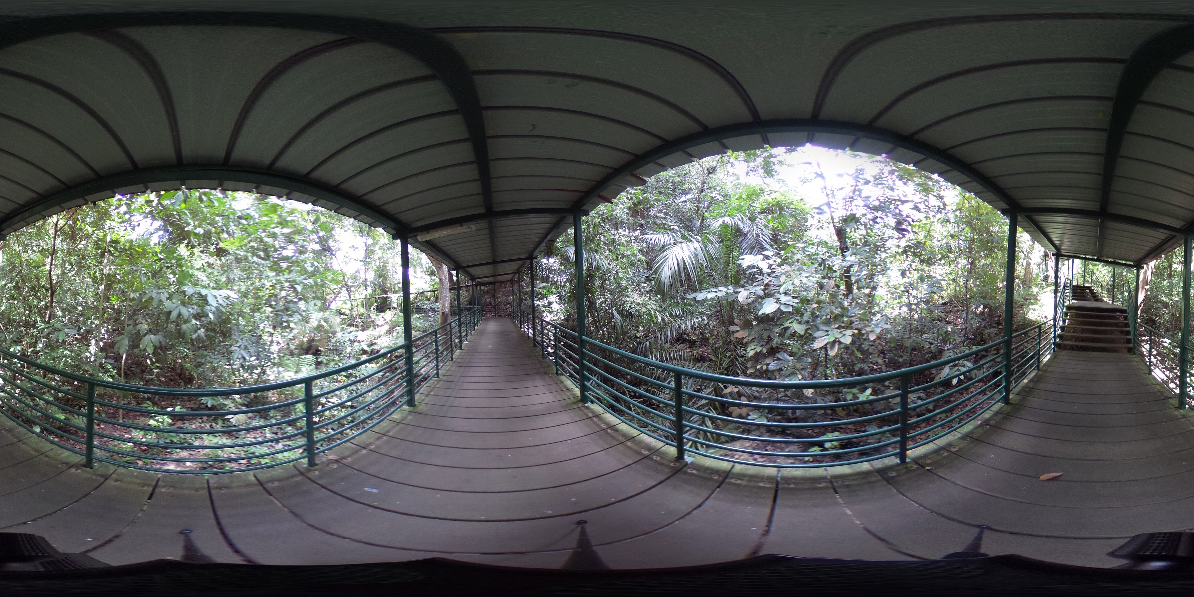 Covered Walkway in Nature
