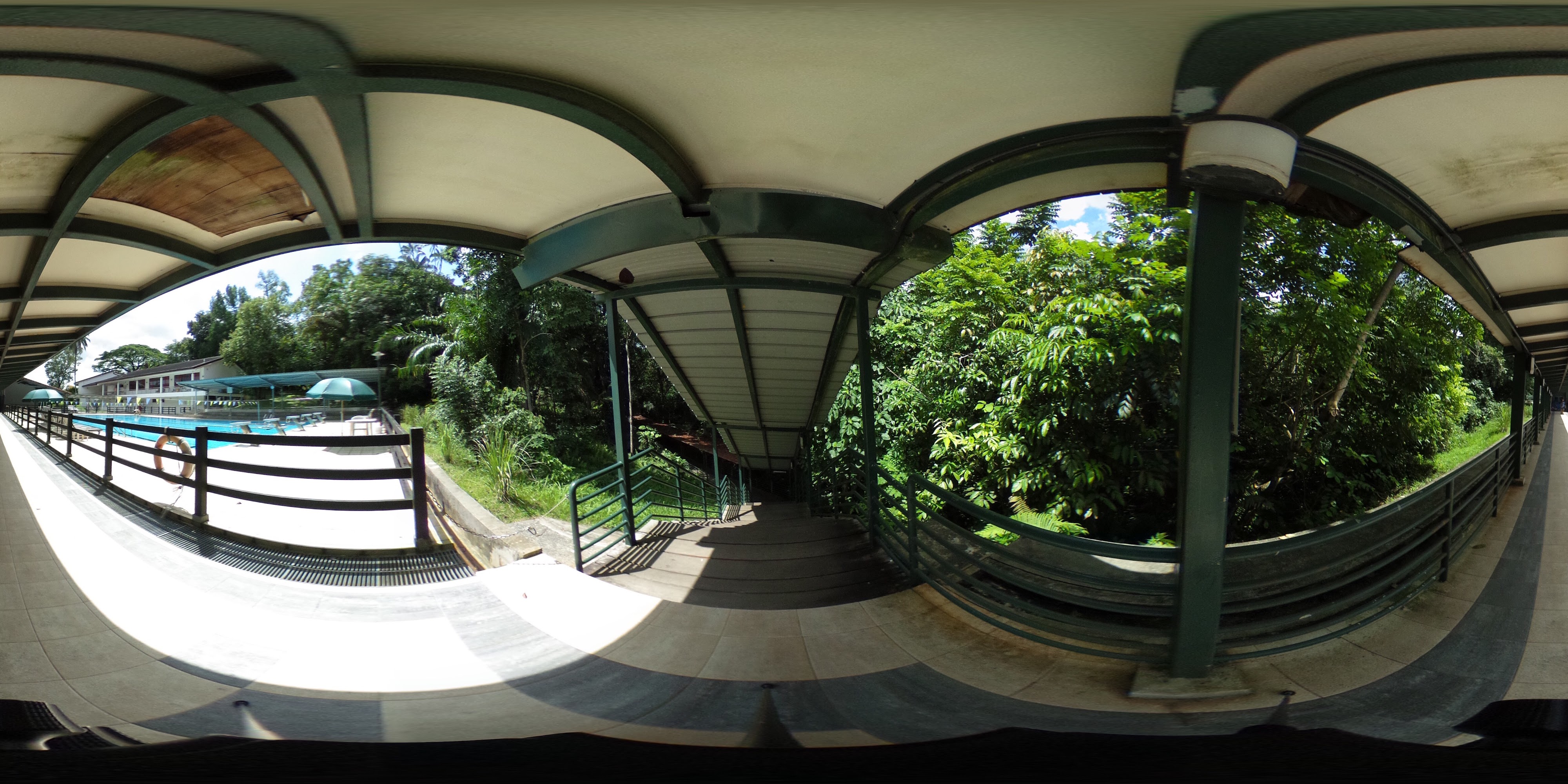 Lush Walkway in Serene Light