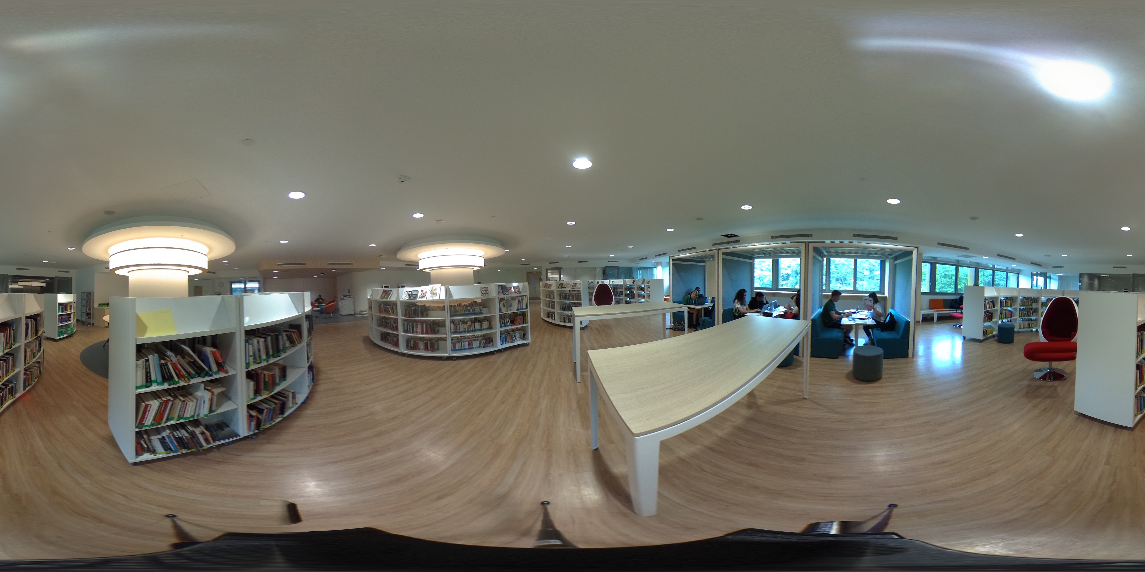 Modern Library Interior