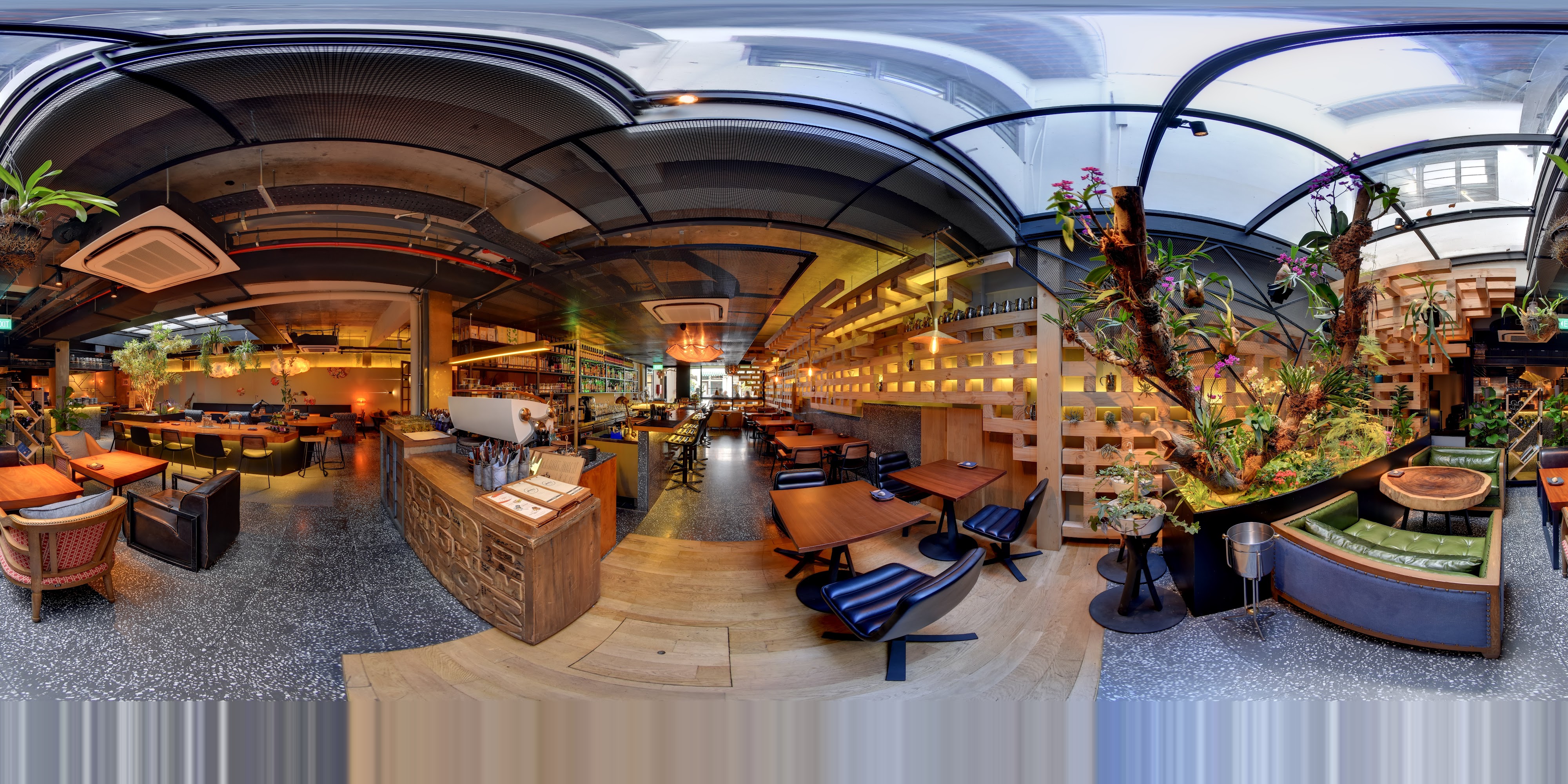 Modern Jungle Cafe Interior