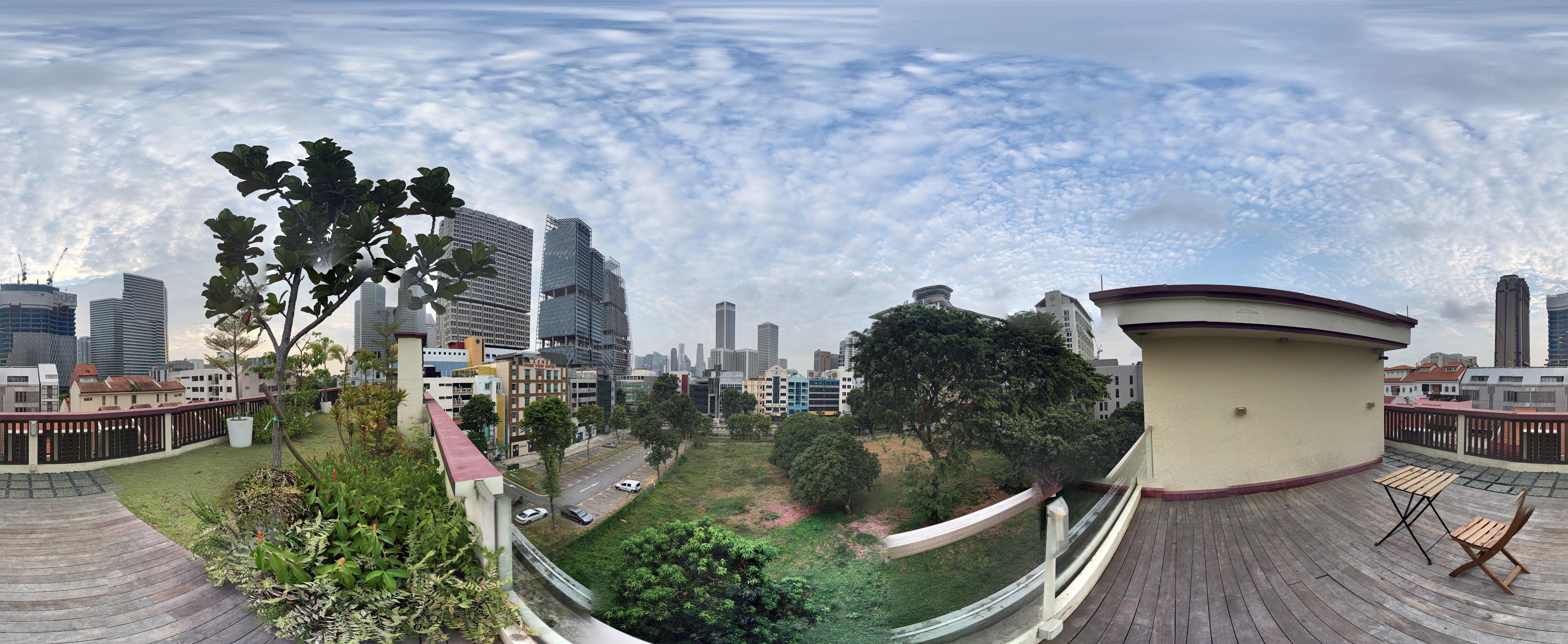 Urban Oasis Transitioning Skyline