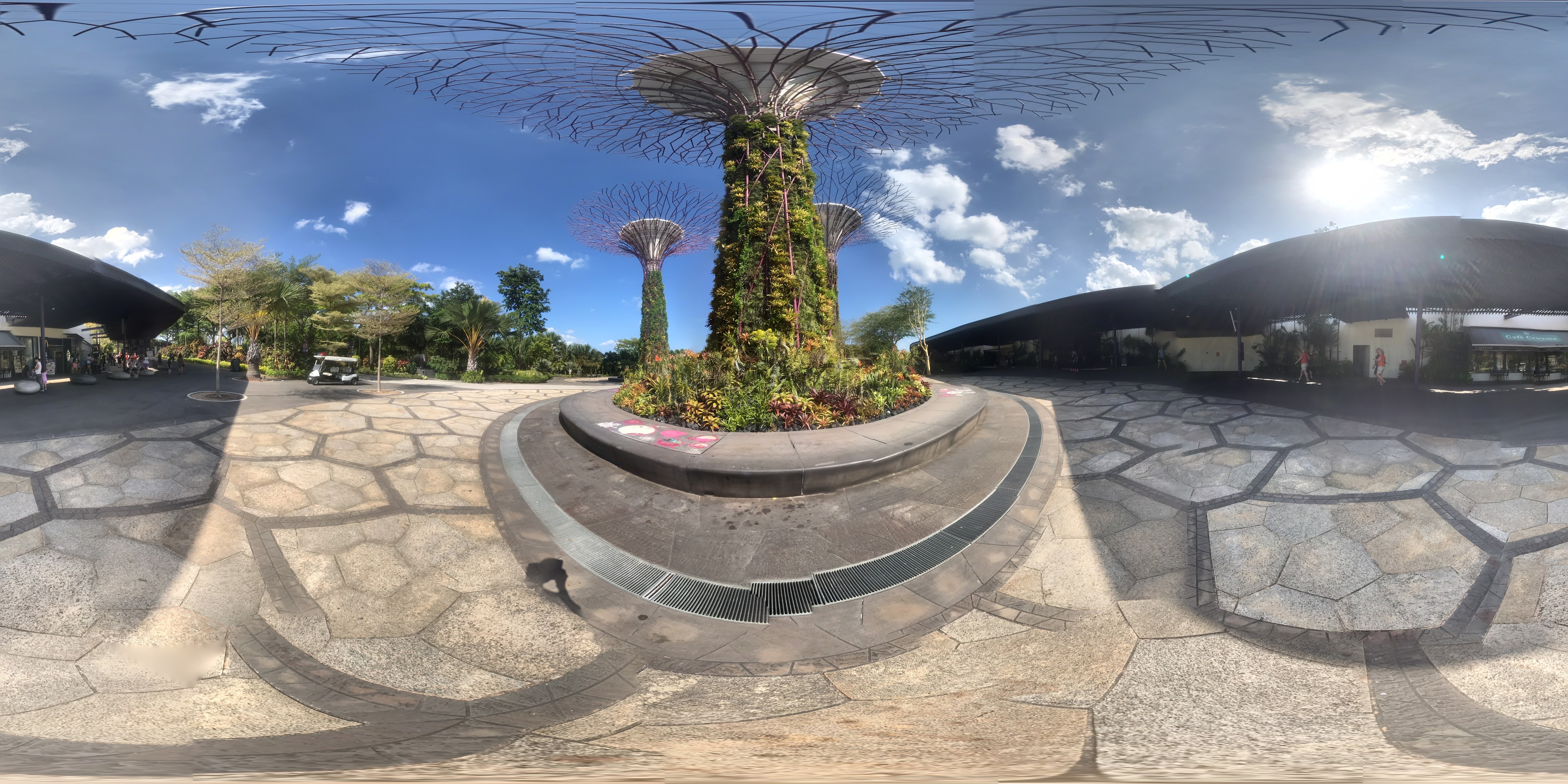 Giant Tree Structured Gardens