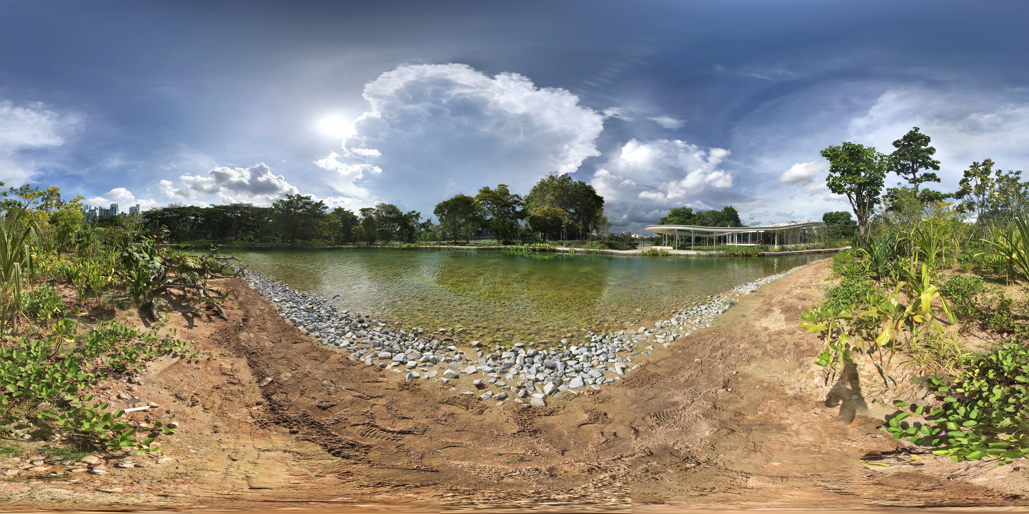 Serene Path Lake Glade