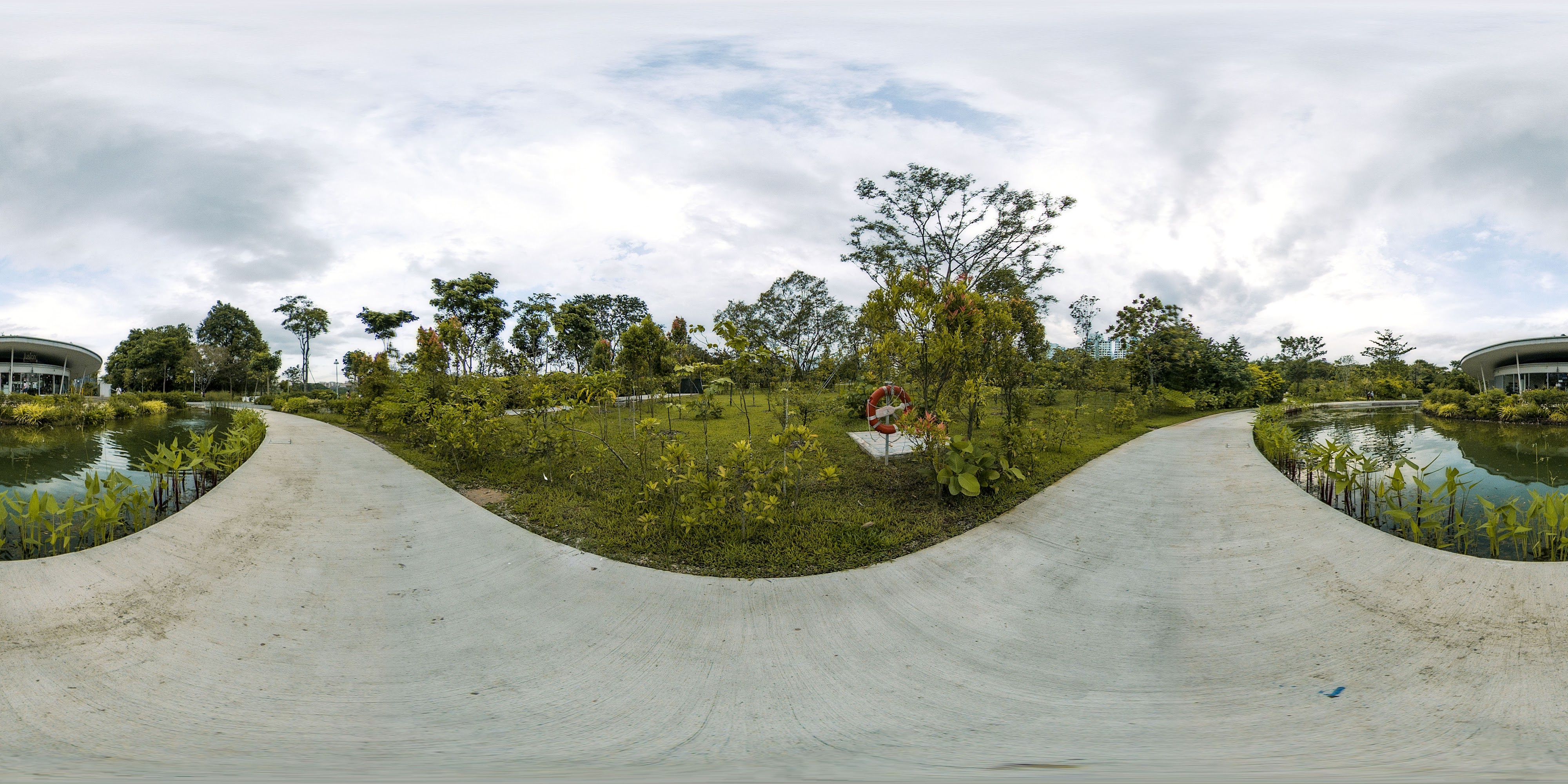 Pathway Through Wetlands