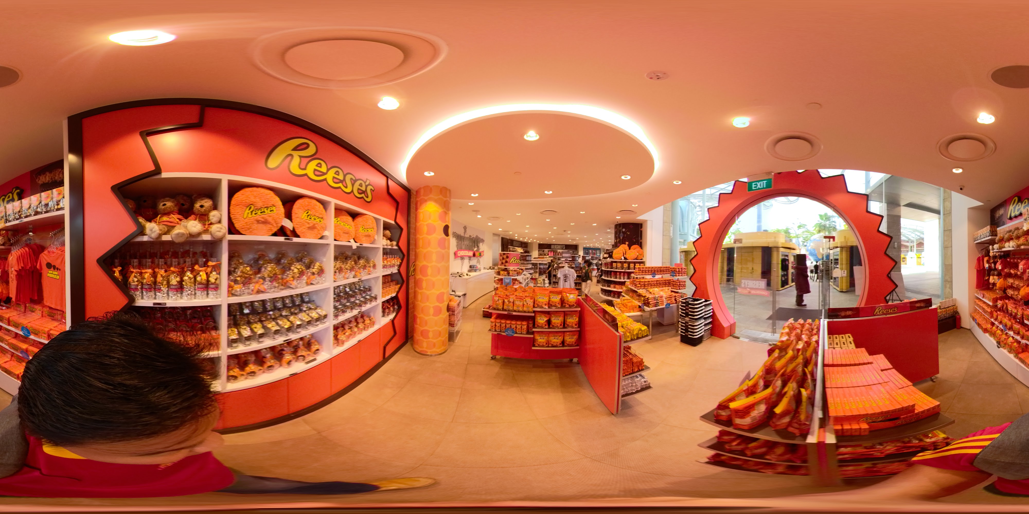 Chocolate Shop Interior Display