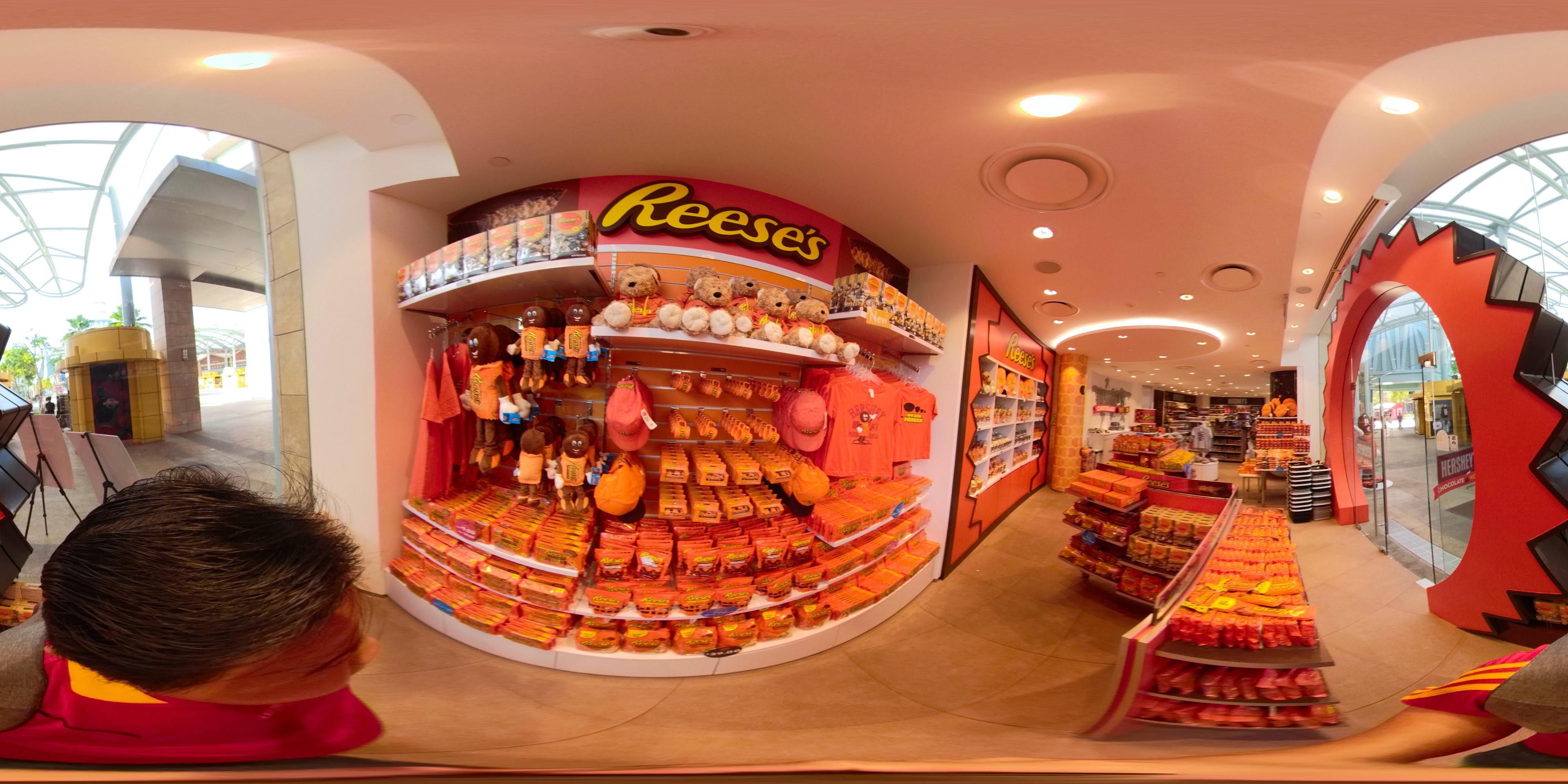 Sweet Treat Store Showcase