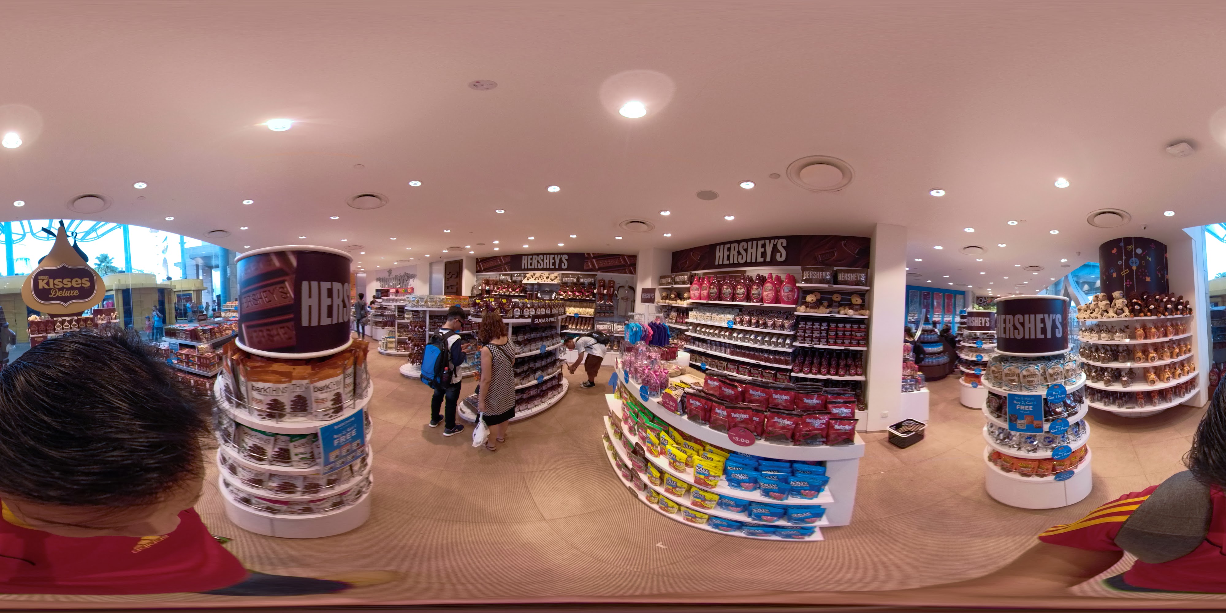 Chocolate Shop Interior Overview