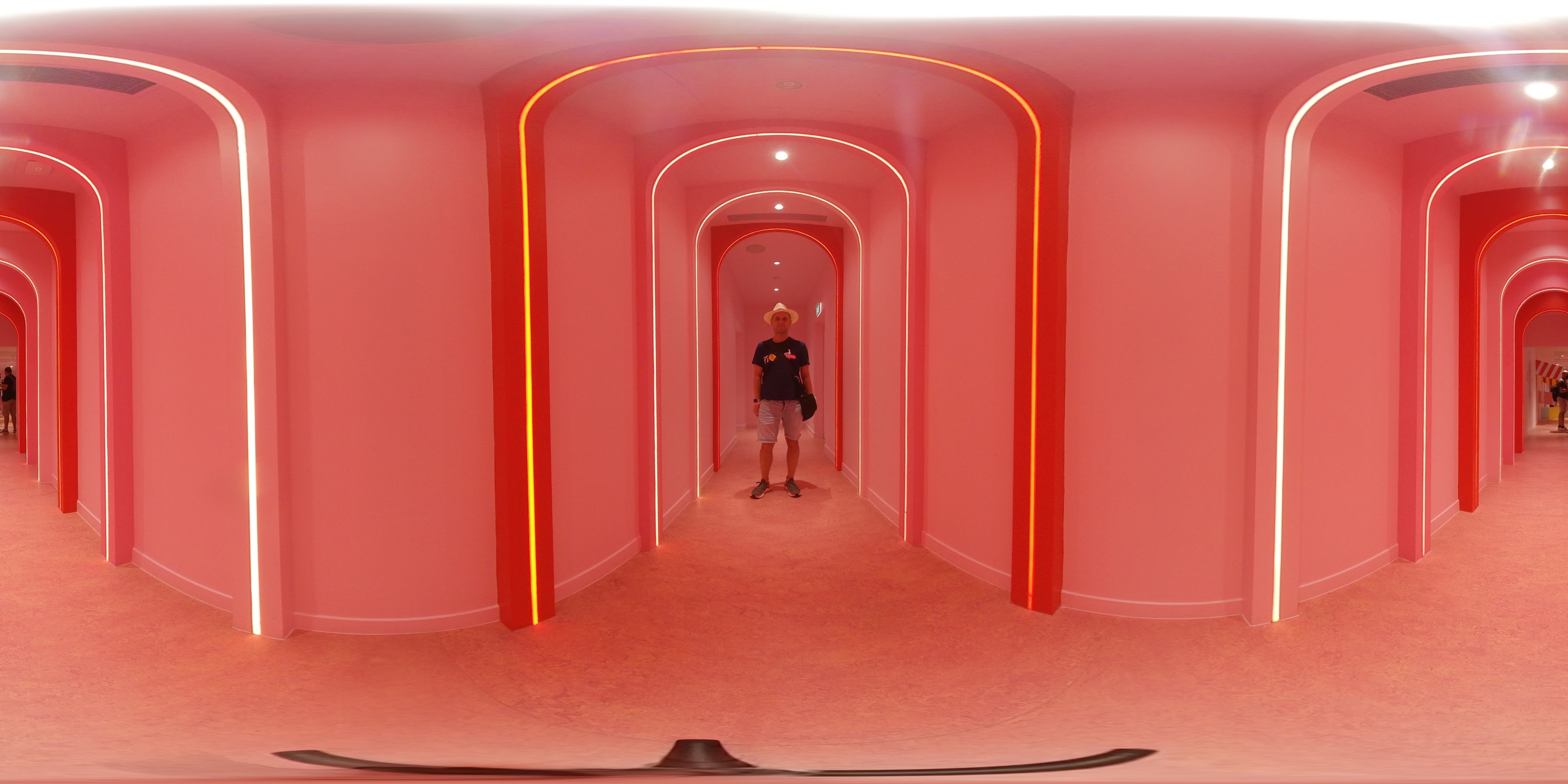 Playful Pink Passageway