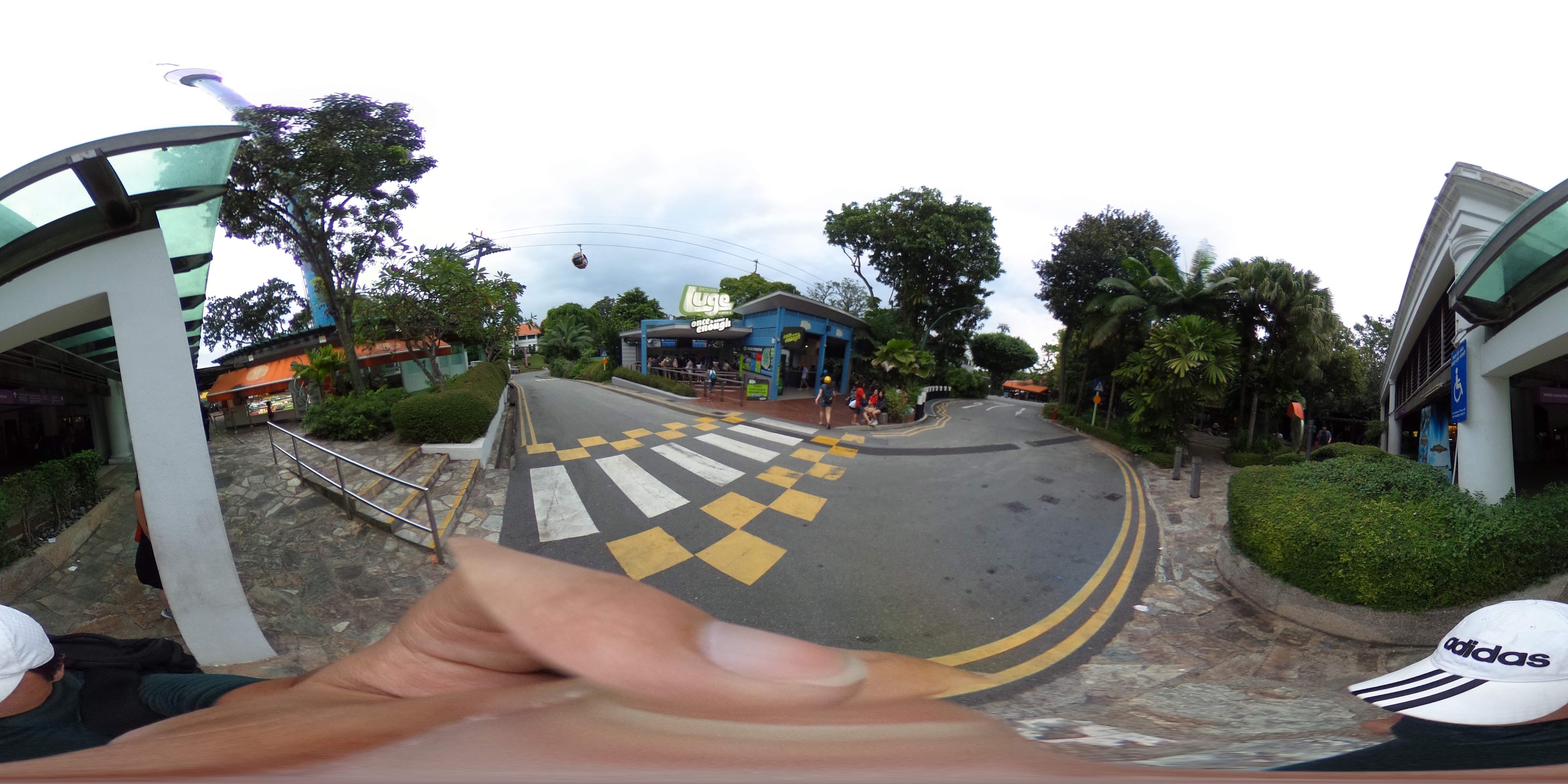 Colorful Downhill Track Experience.