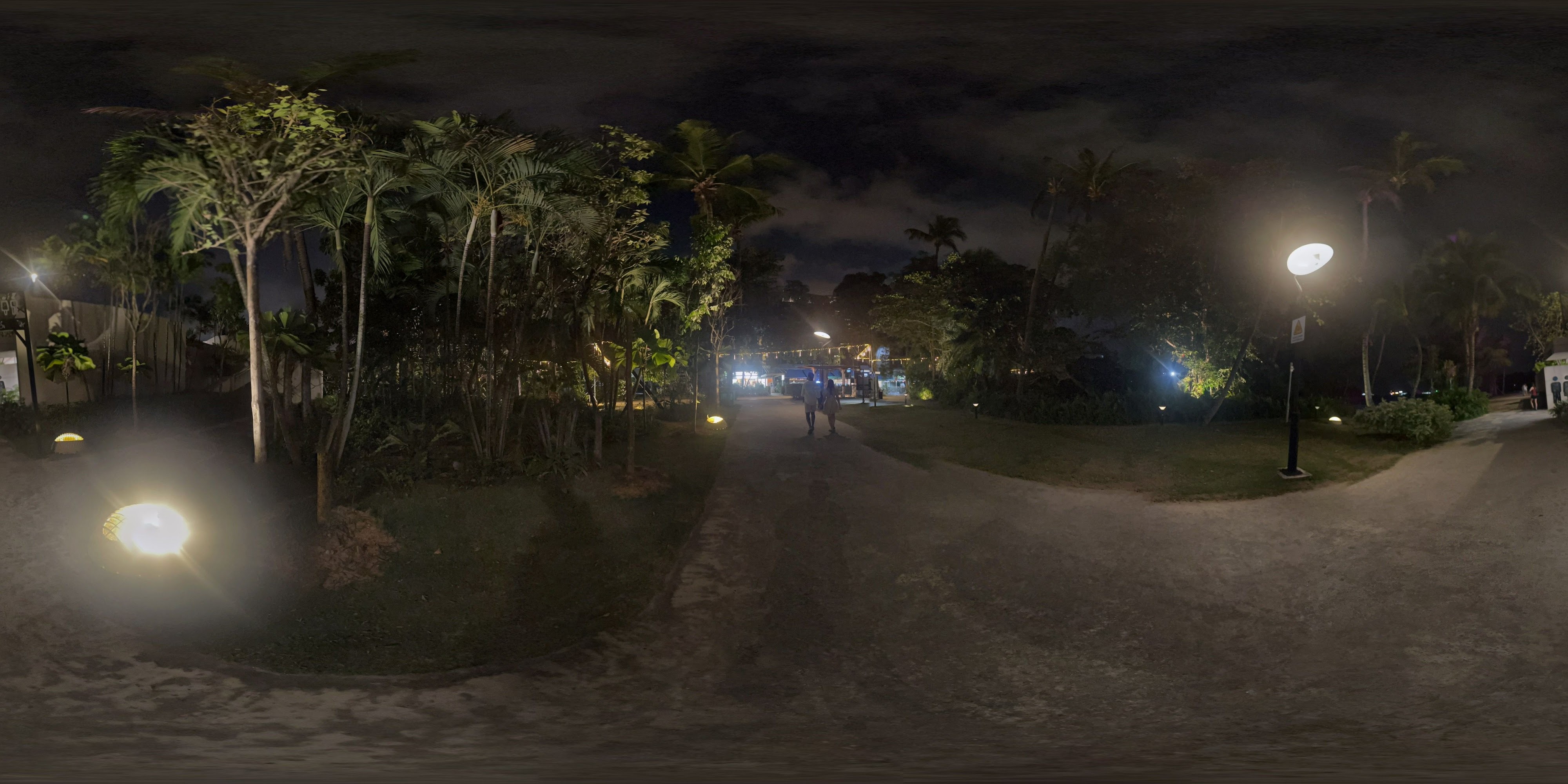 Night Path with Tropical Trees