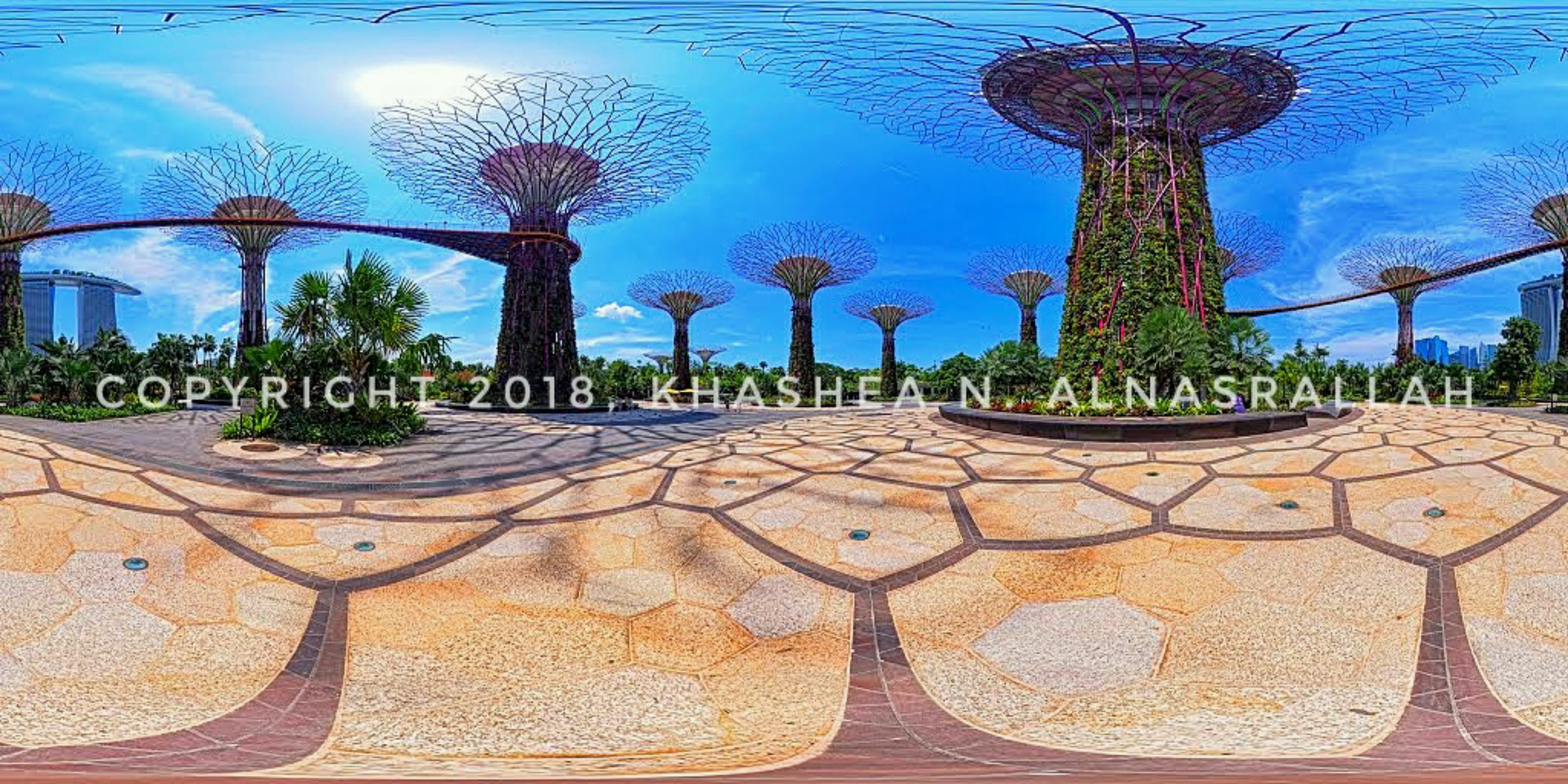 Vibrant Children’s Garden Oasis