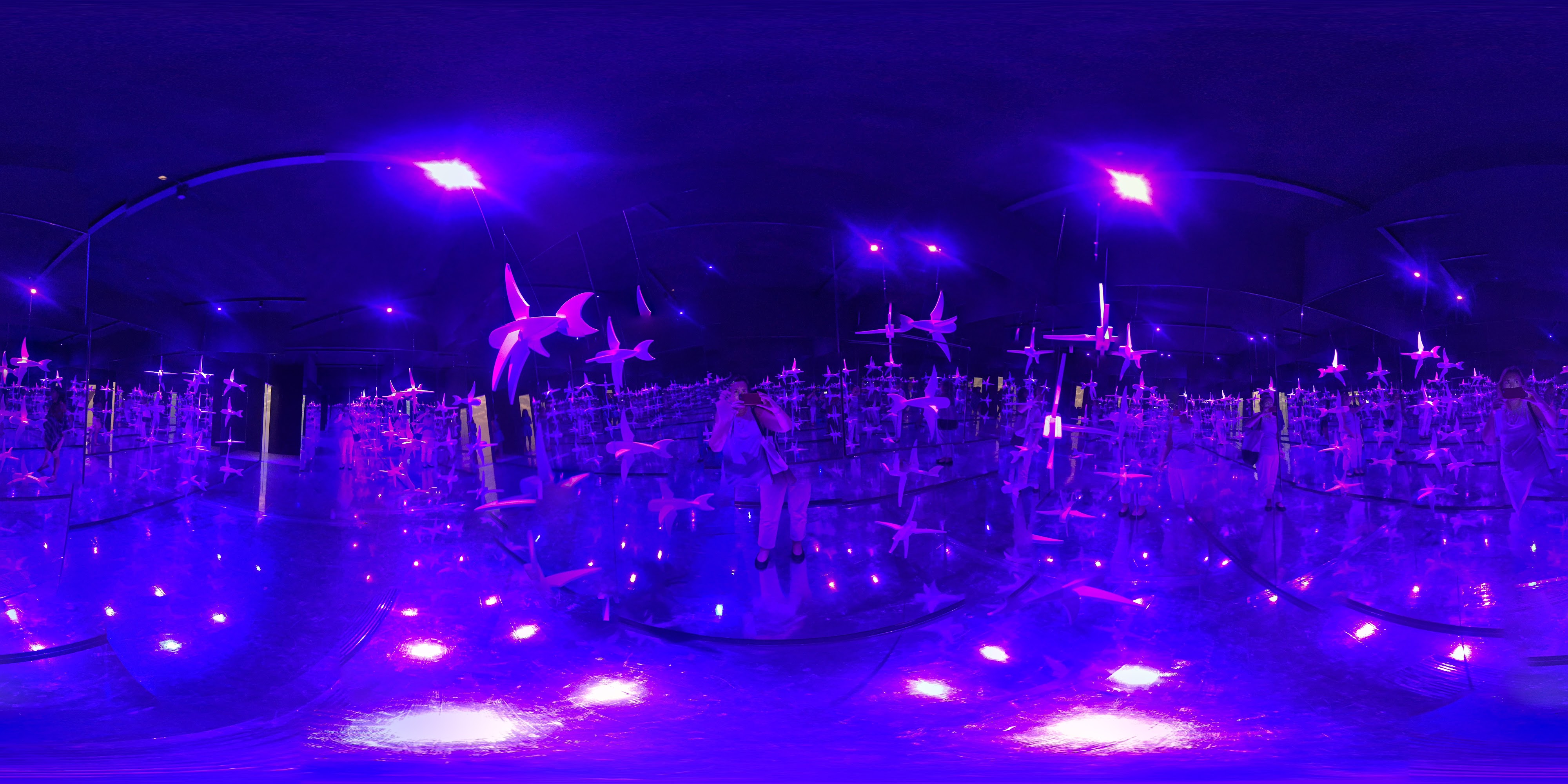 Luminous Mechanical Winged Installation