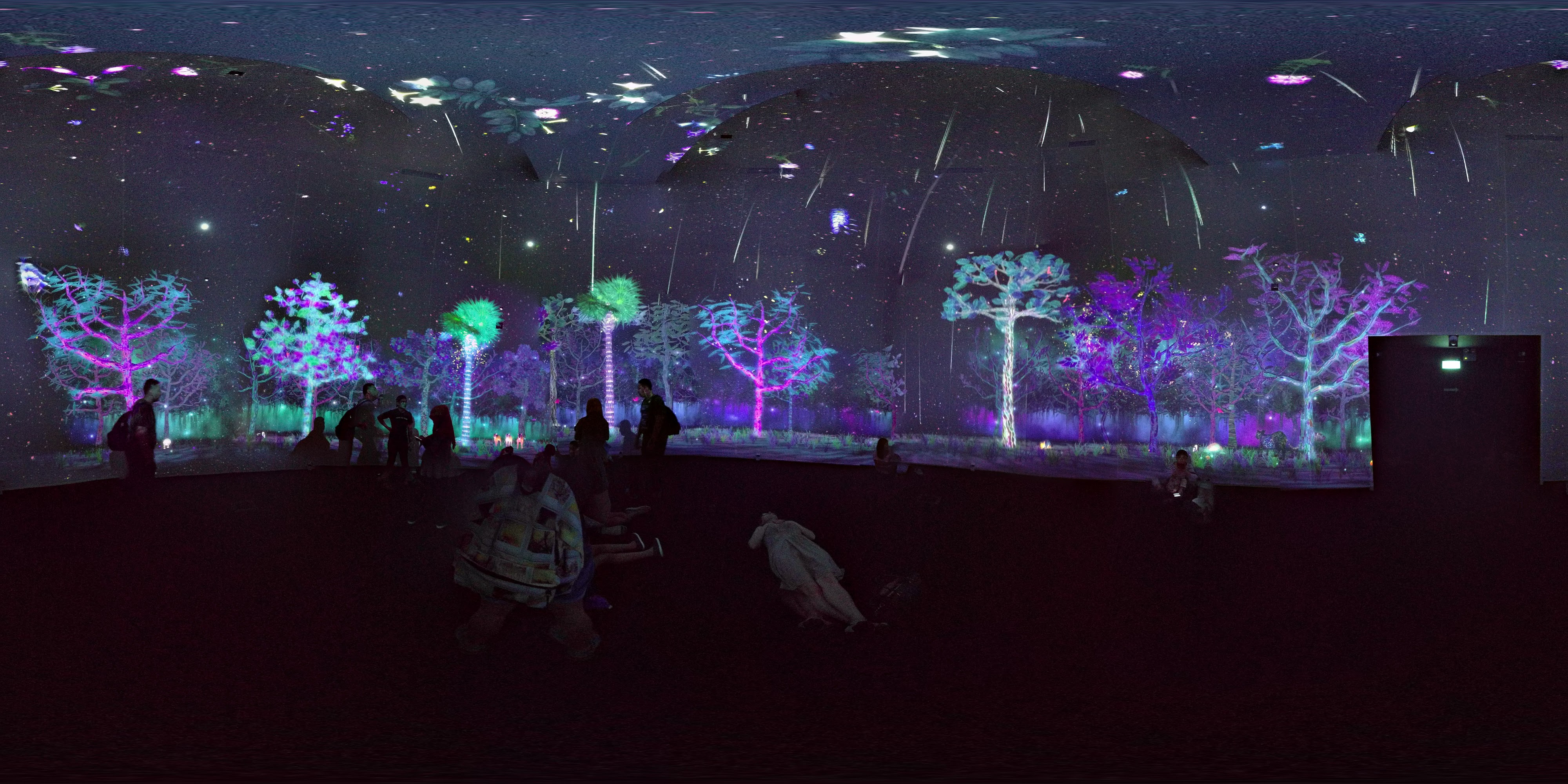 Immersive Digital Nature Scene