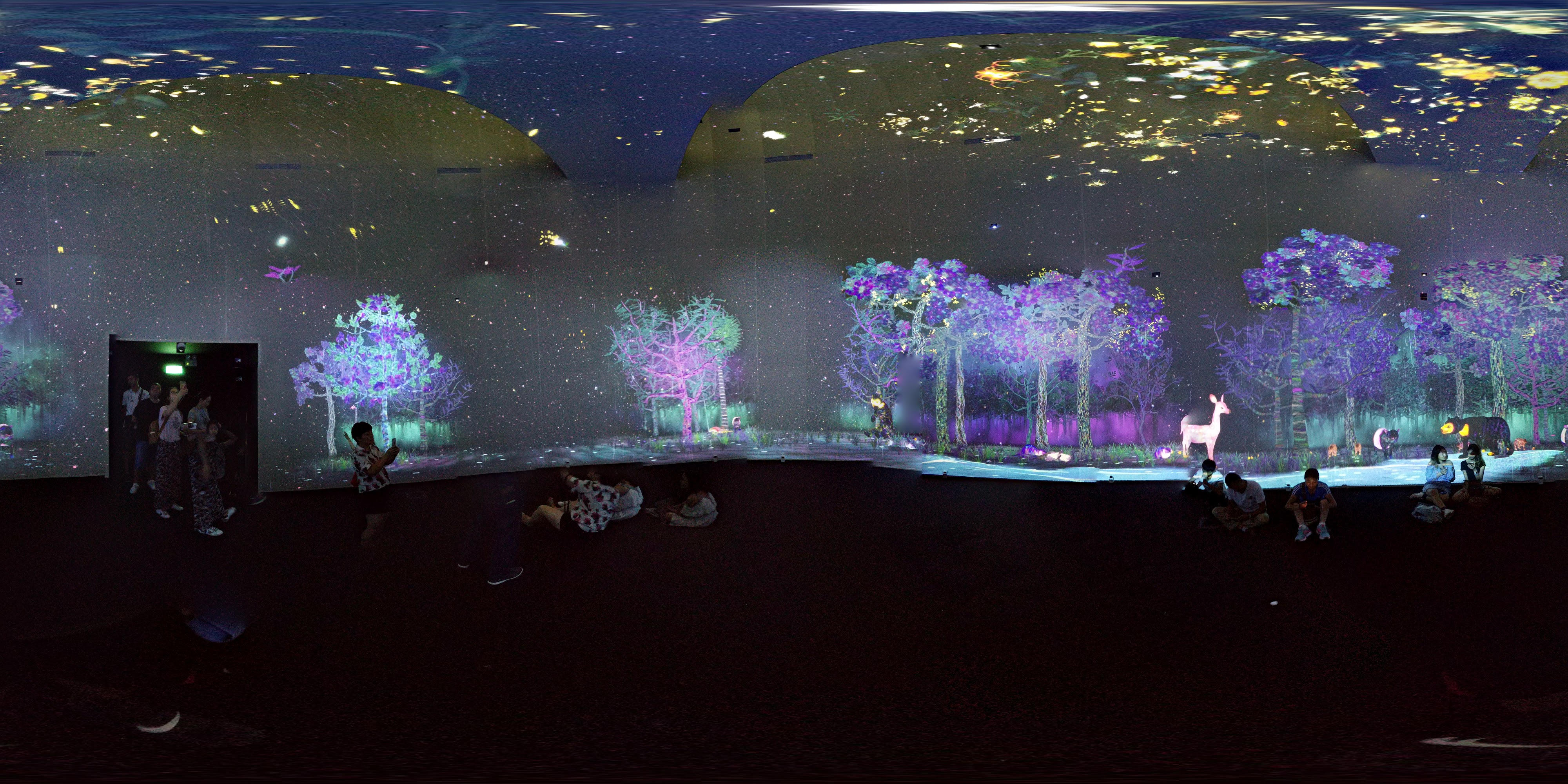 Immersion in Colorful Forest