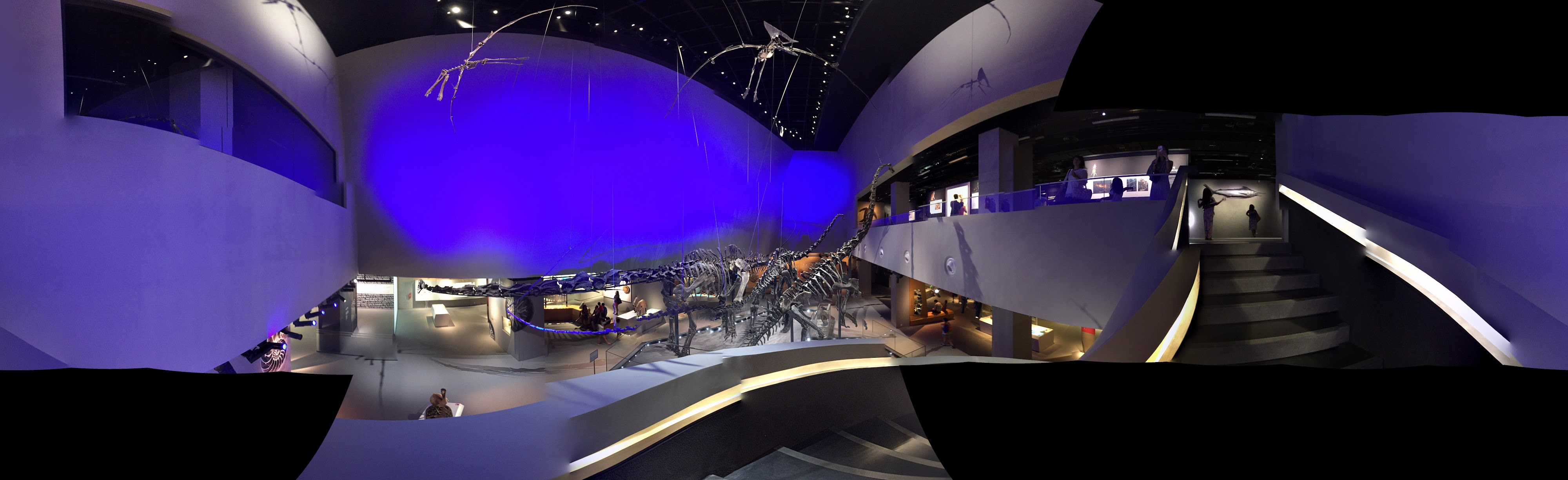 Diverse Fossil Fossil Exhibition