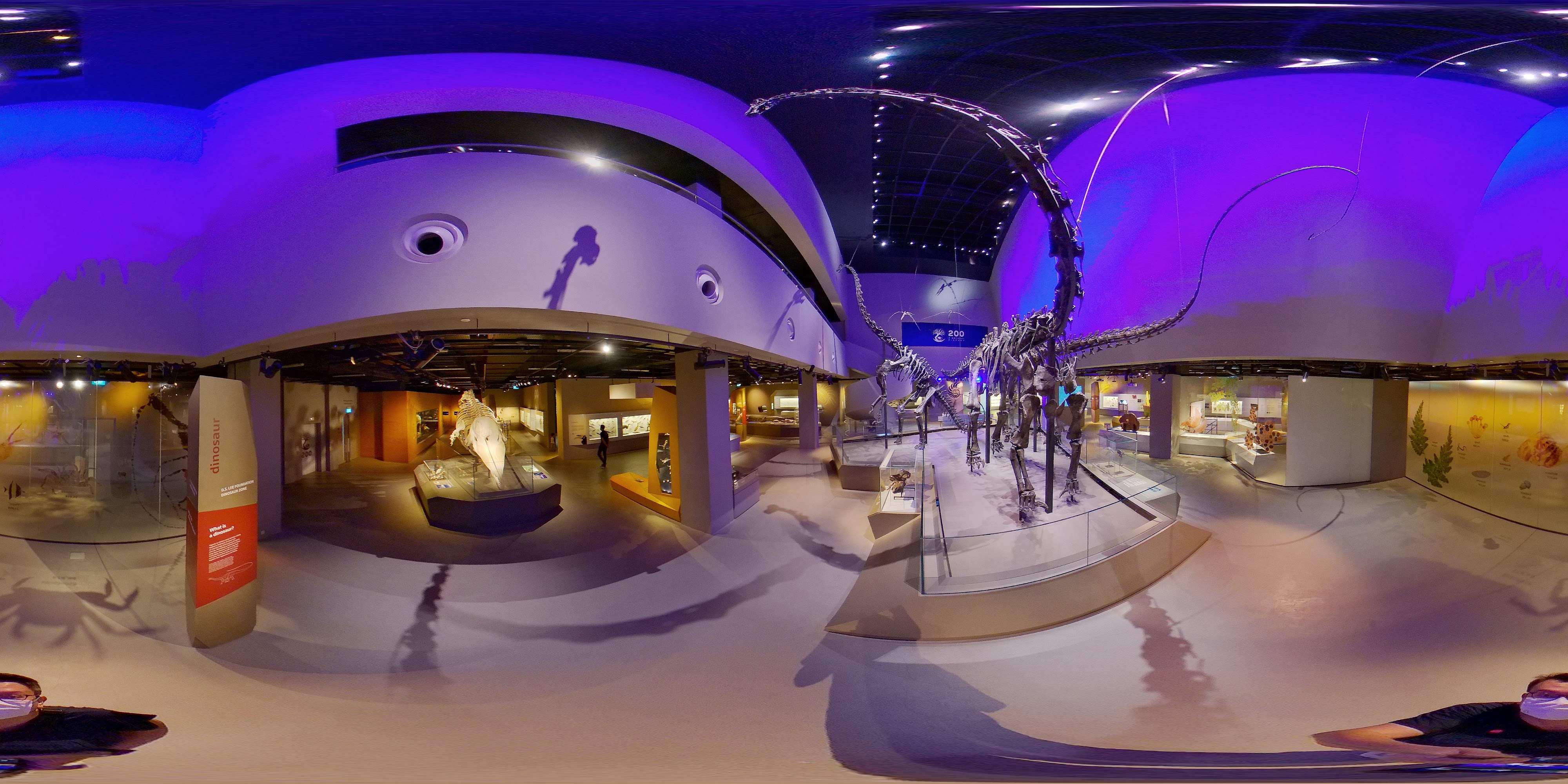 Prehistoric Fascination Showcase