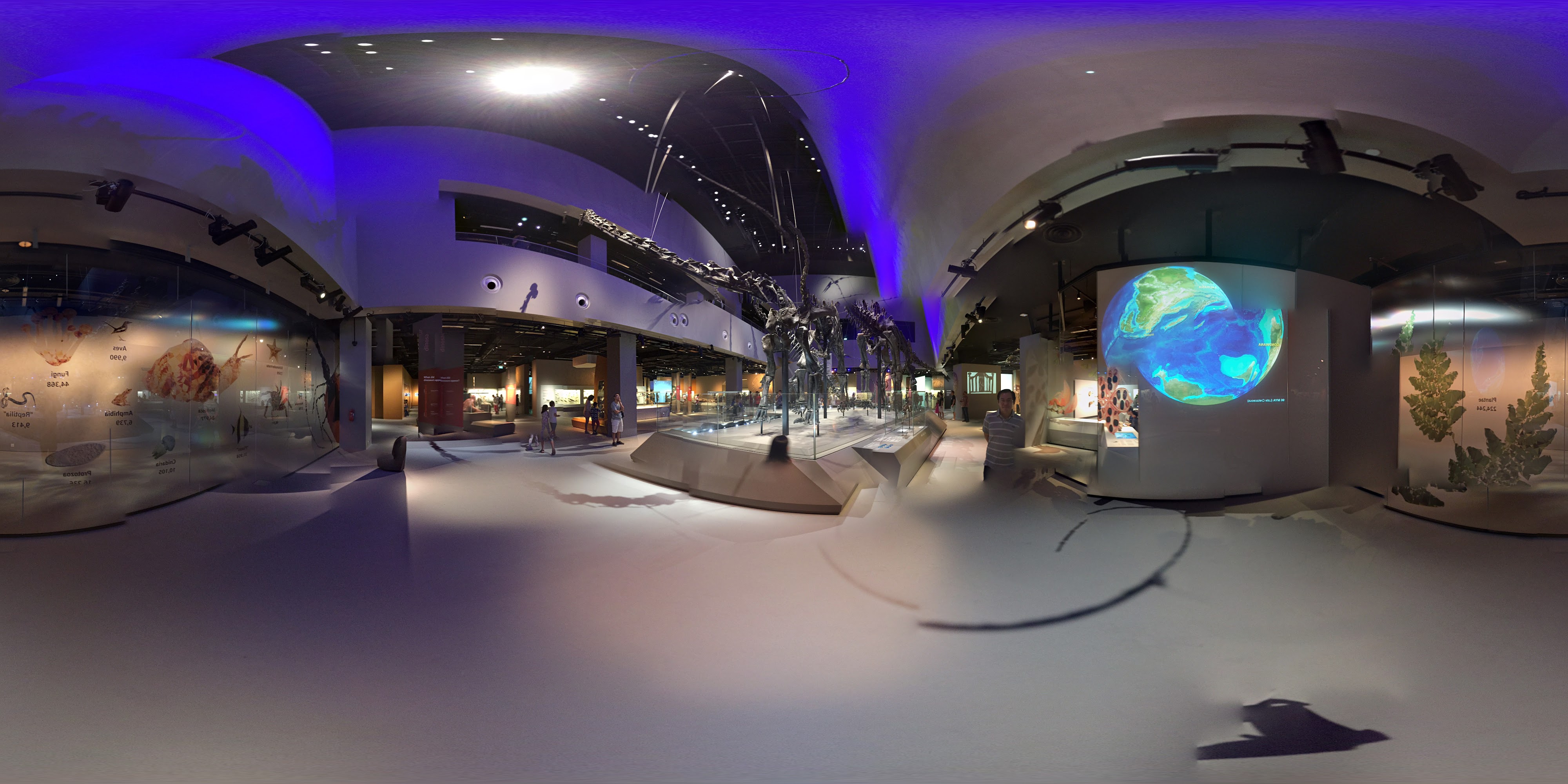 Exploring Earth's History Museum Interior