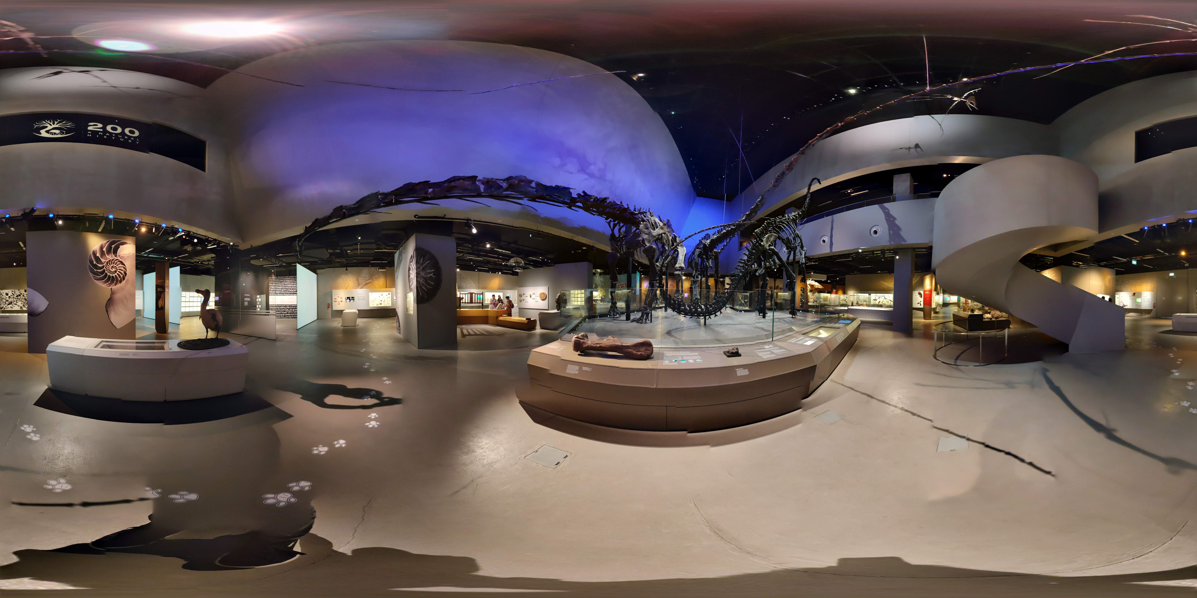 Diverse Natural History Exhibits