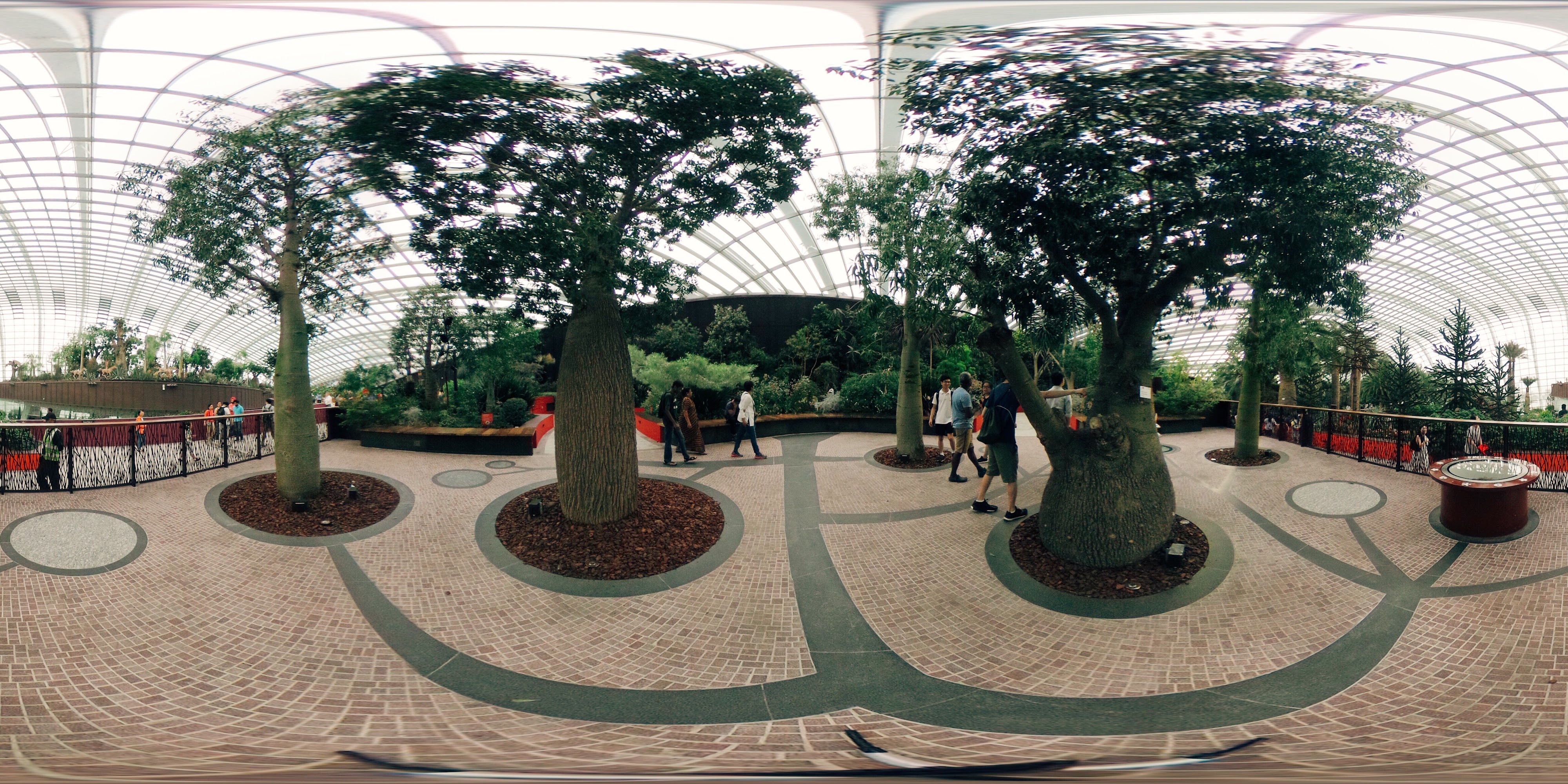 Serene Gardens and Walkways