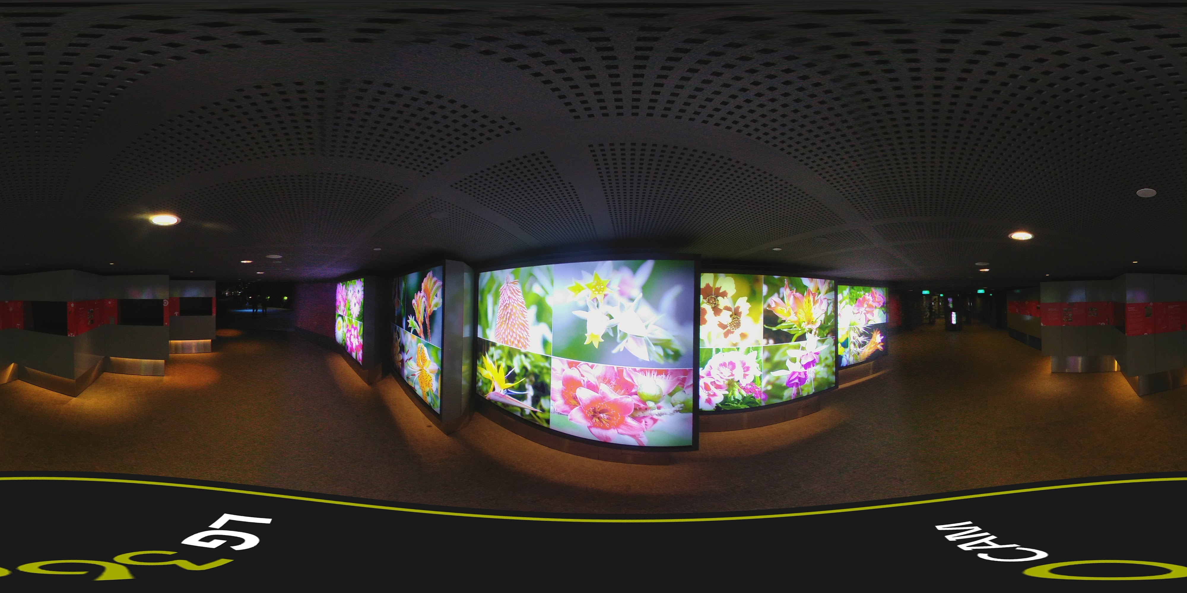 Immersive Botanical Display Inside