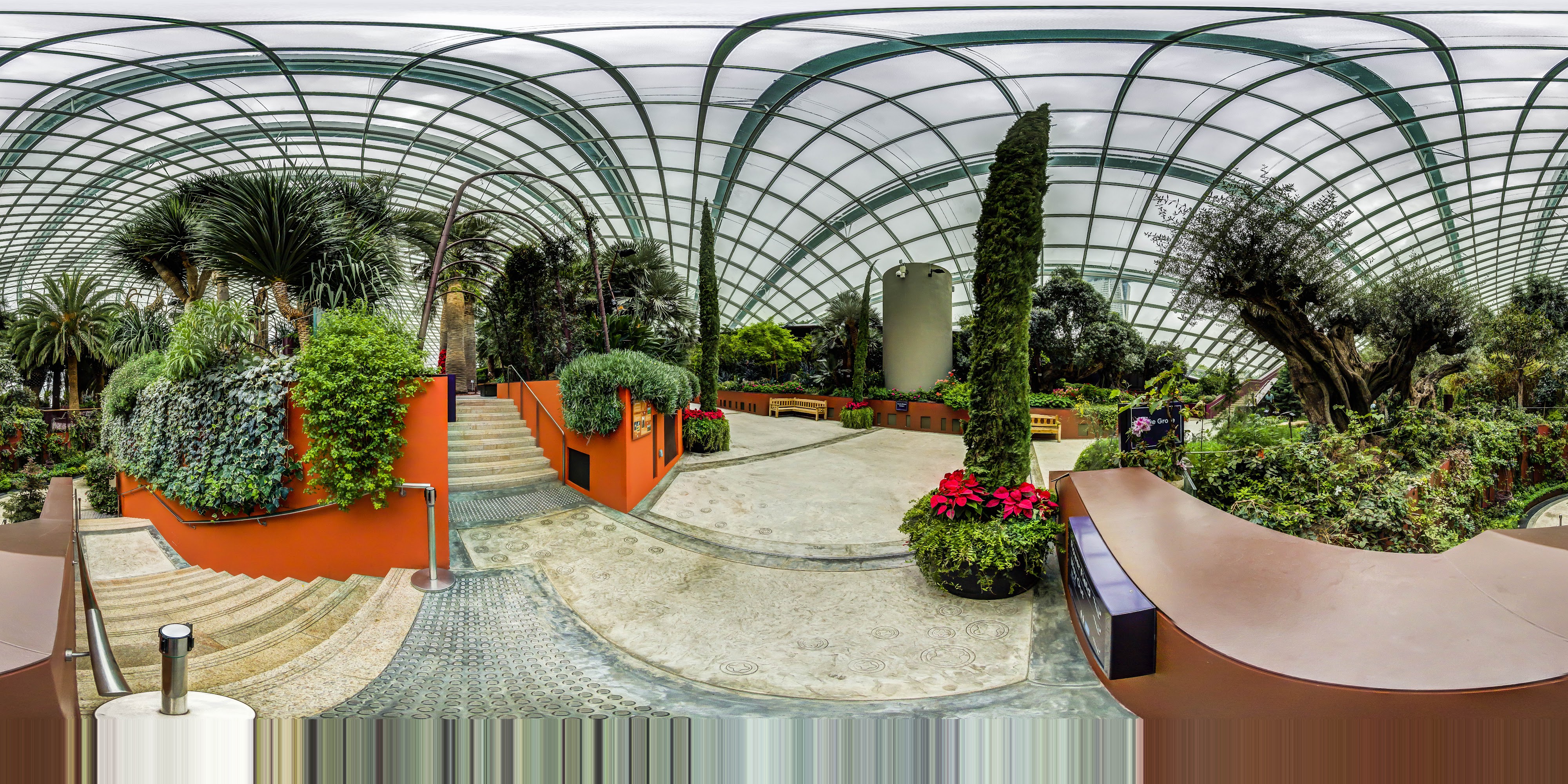 Vibrant Indoor Botanical Garden