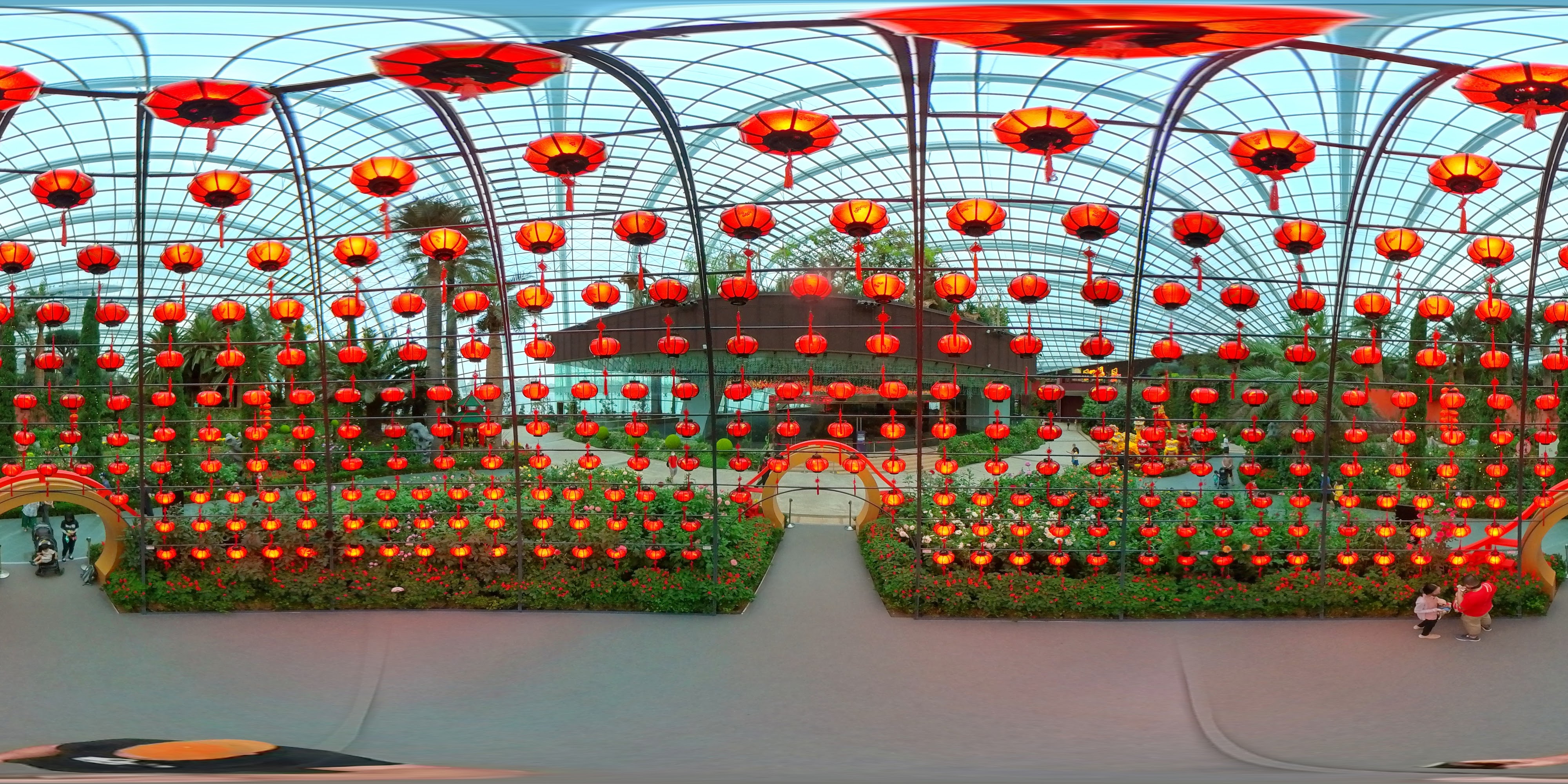 Luminous Red Lantern Garden