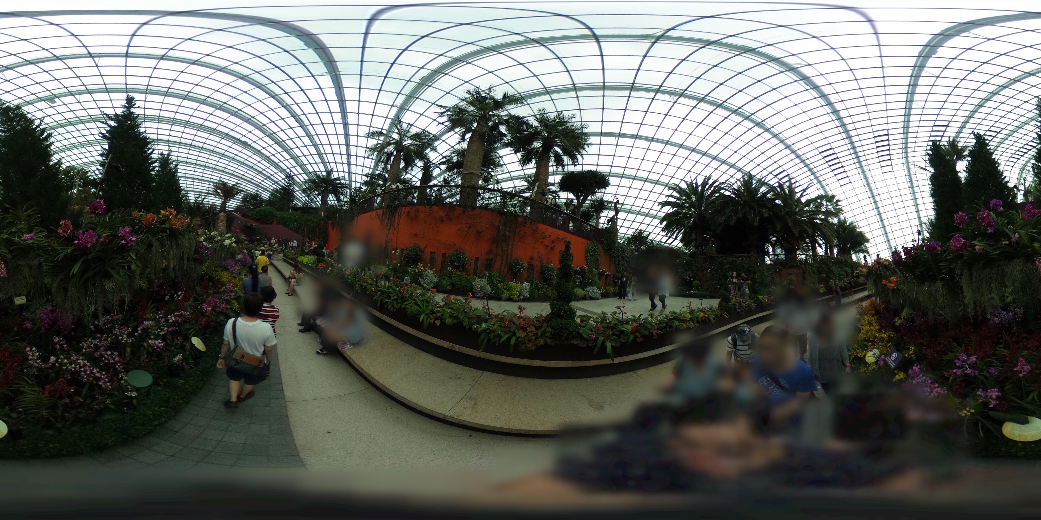 Lush Indoor Botanical Garden