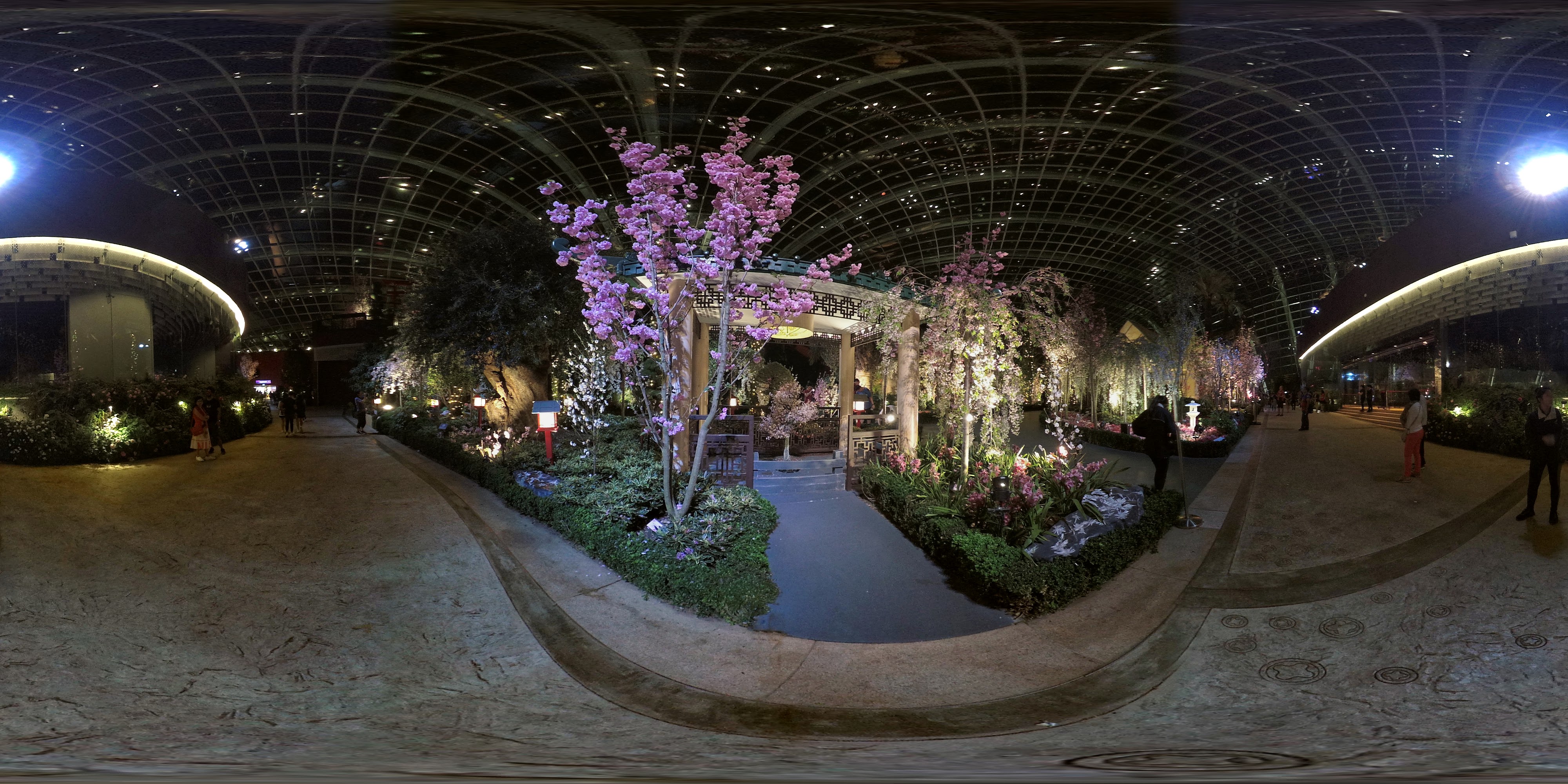 Lush Blossoms Indoor Garden Display