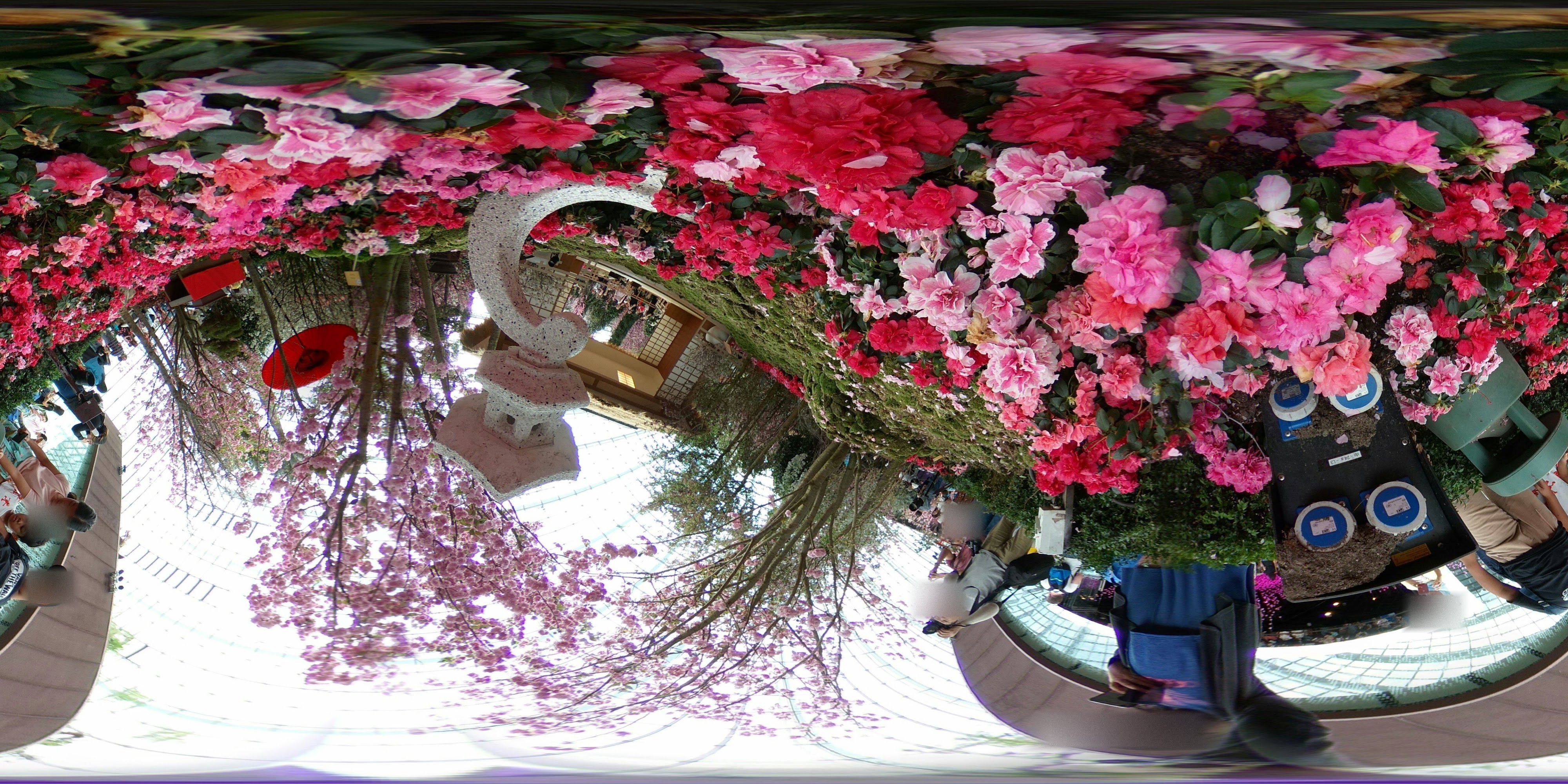 Blooming Archway Festival Flowers