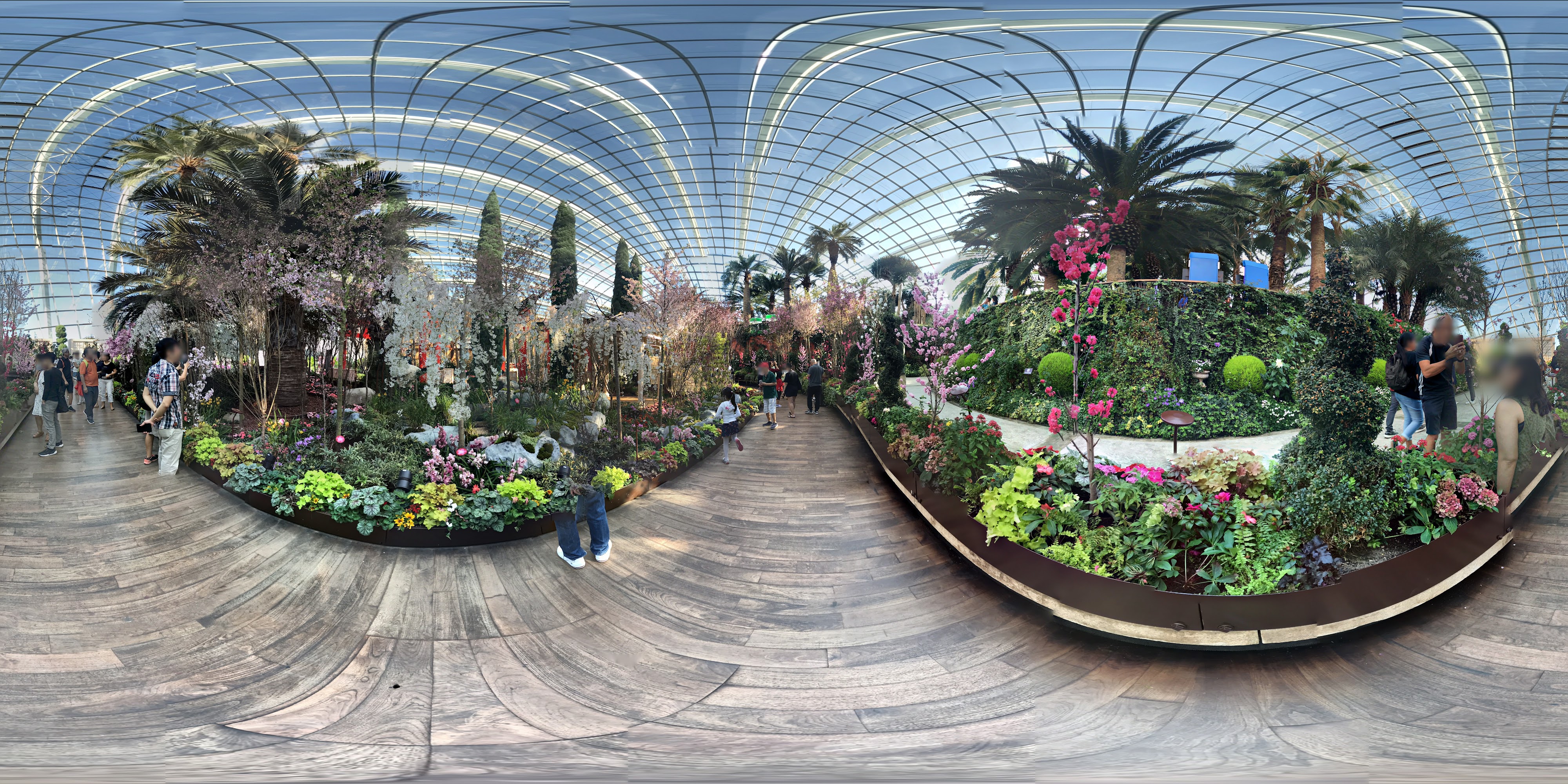 Vibrant Floral Indoor Garden Path