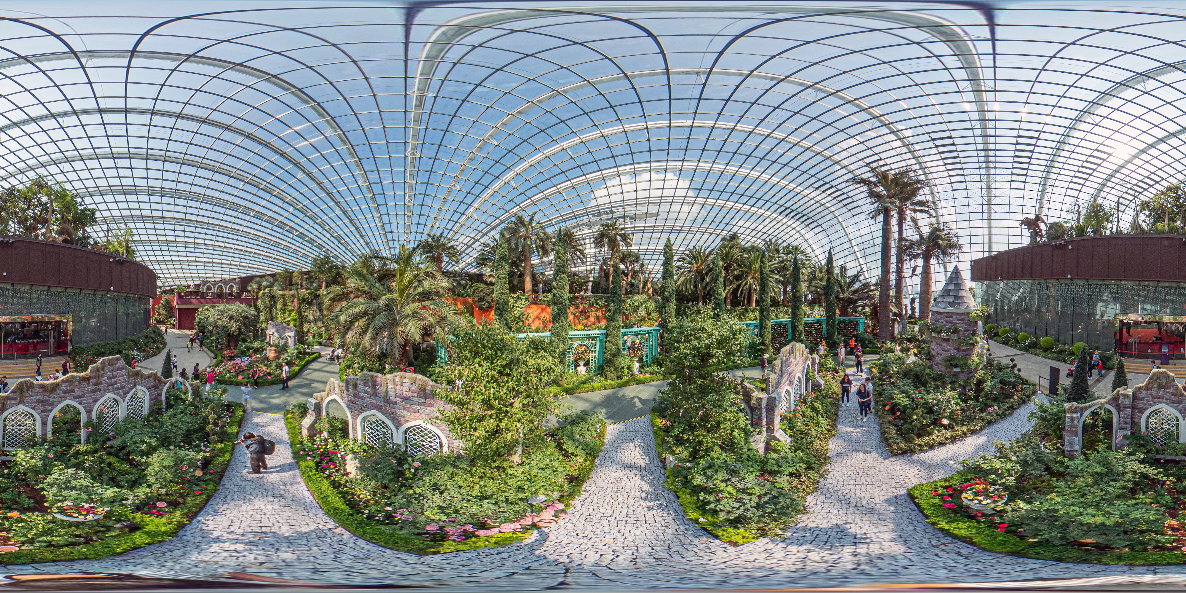 Lush Indoor Botanical Landscape