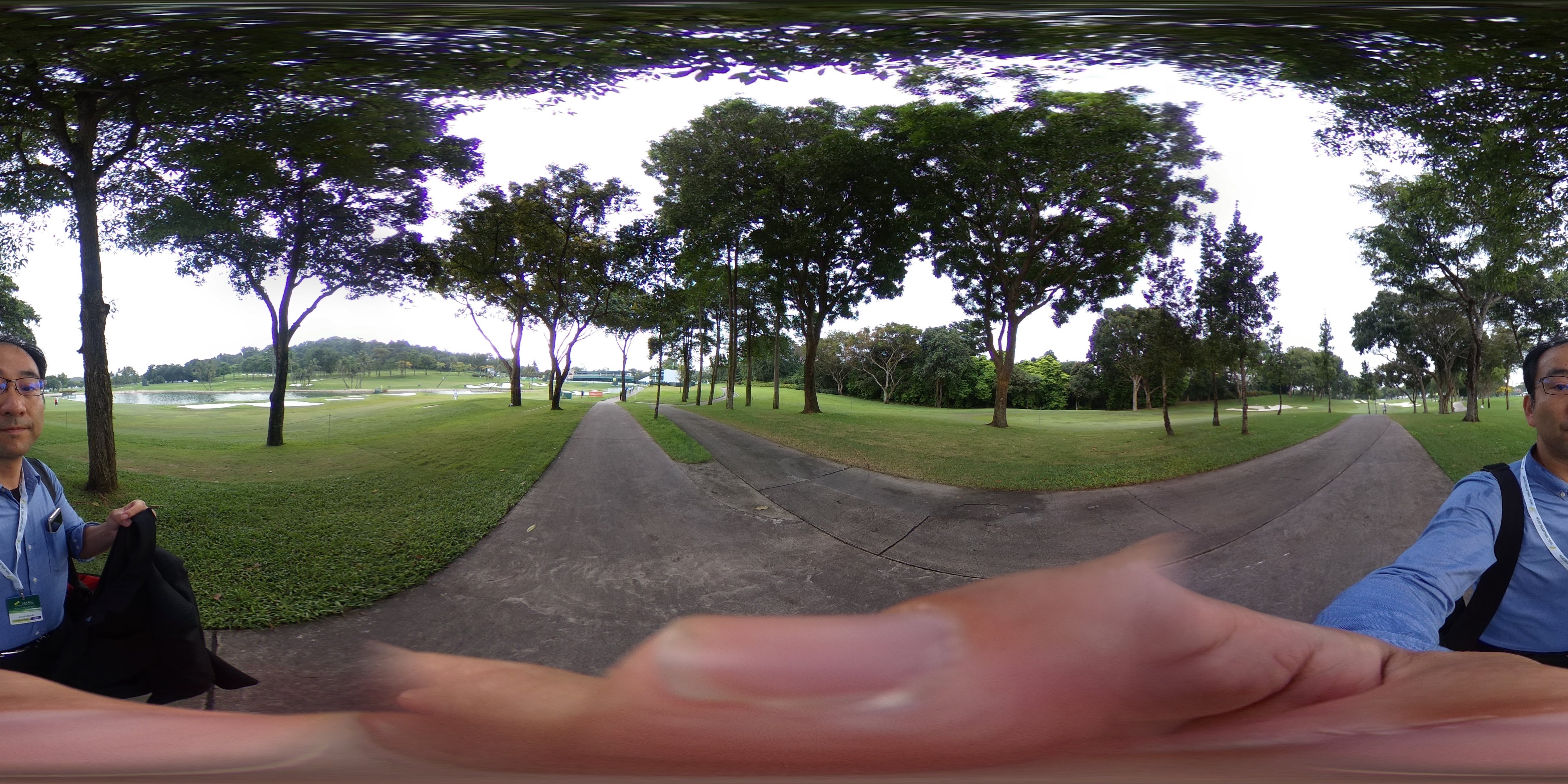 Golf Path Lined With Trees
