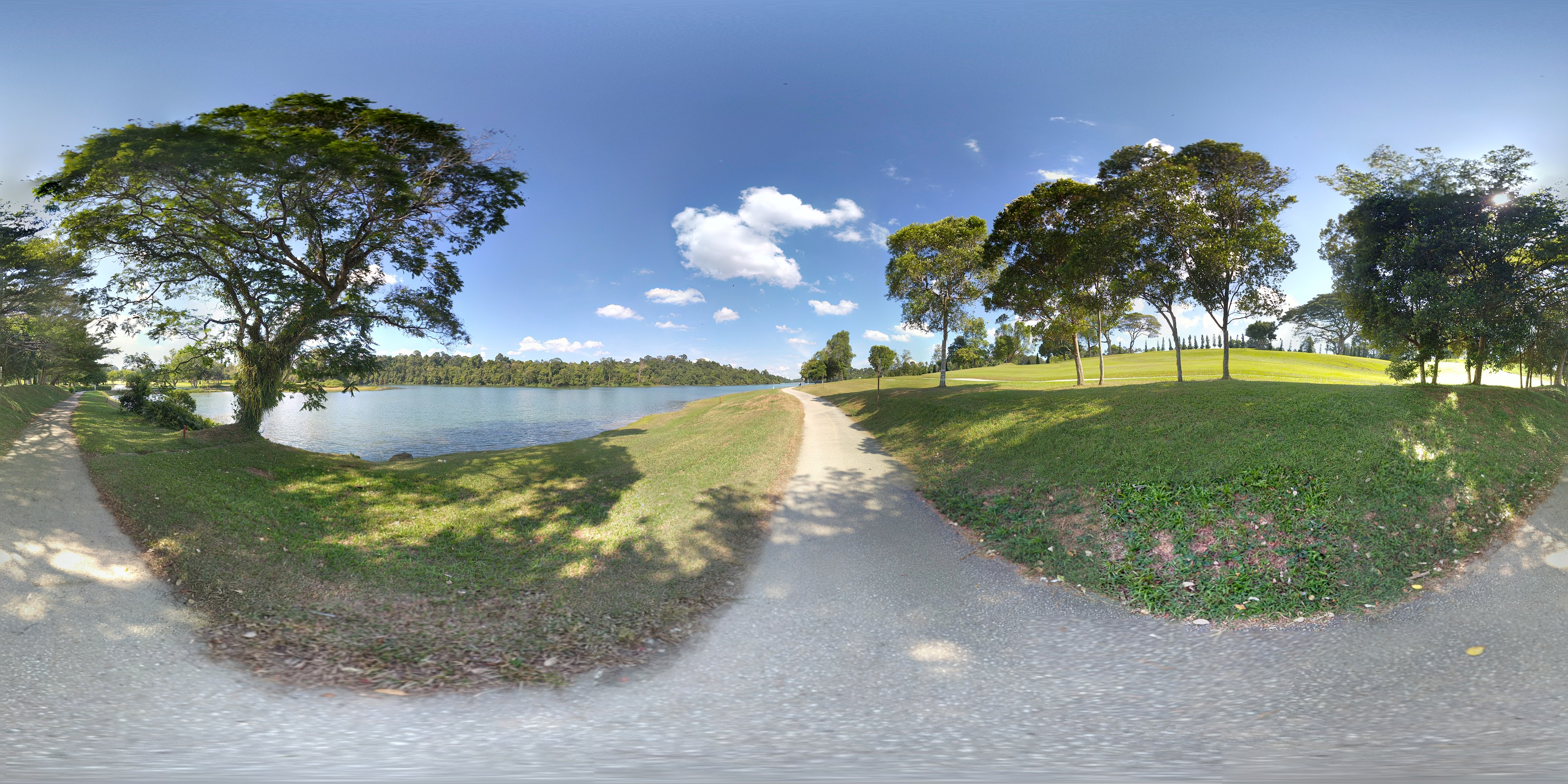 Scenic Lakeside Garden Path