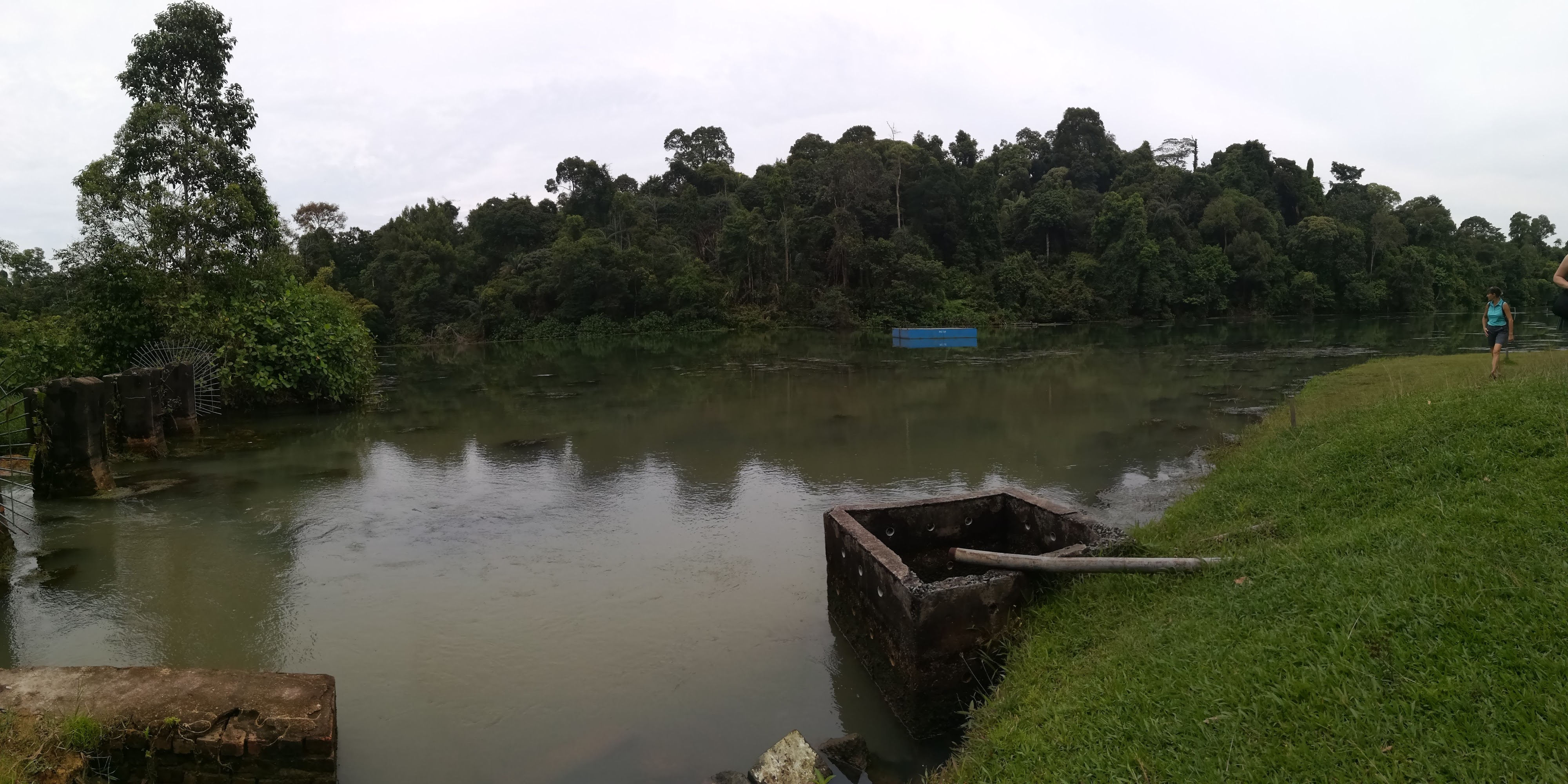 Serene Forest and Moat Scene