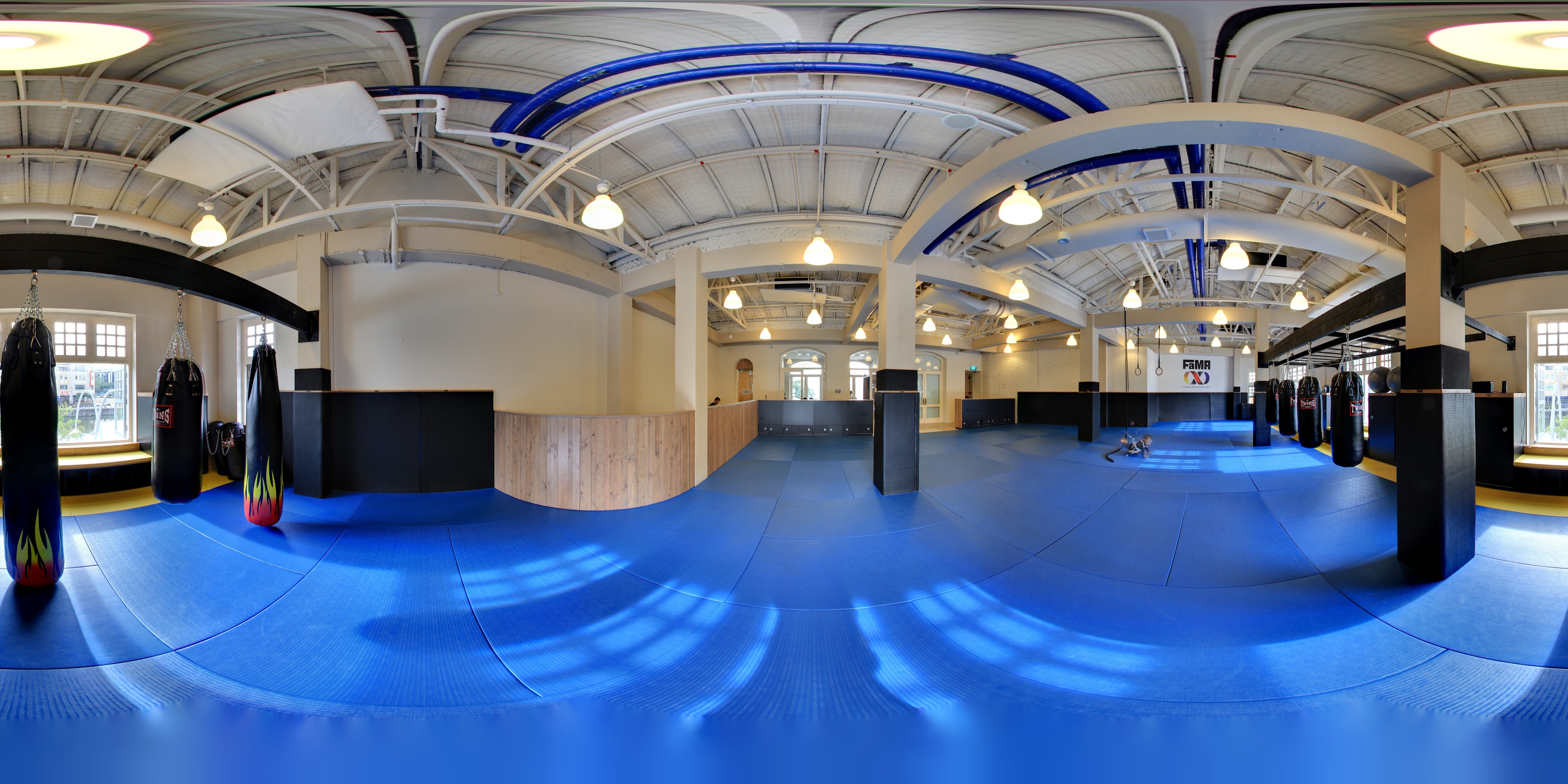 Modern Gym With Blue Mats