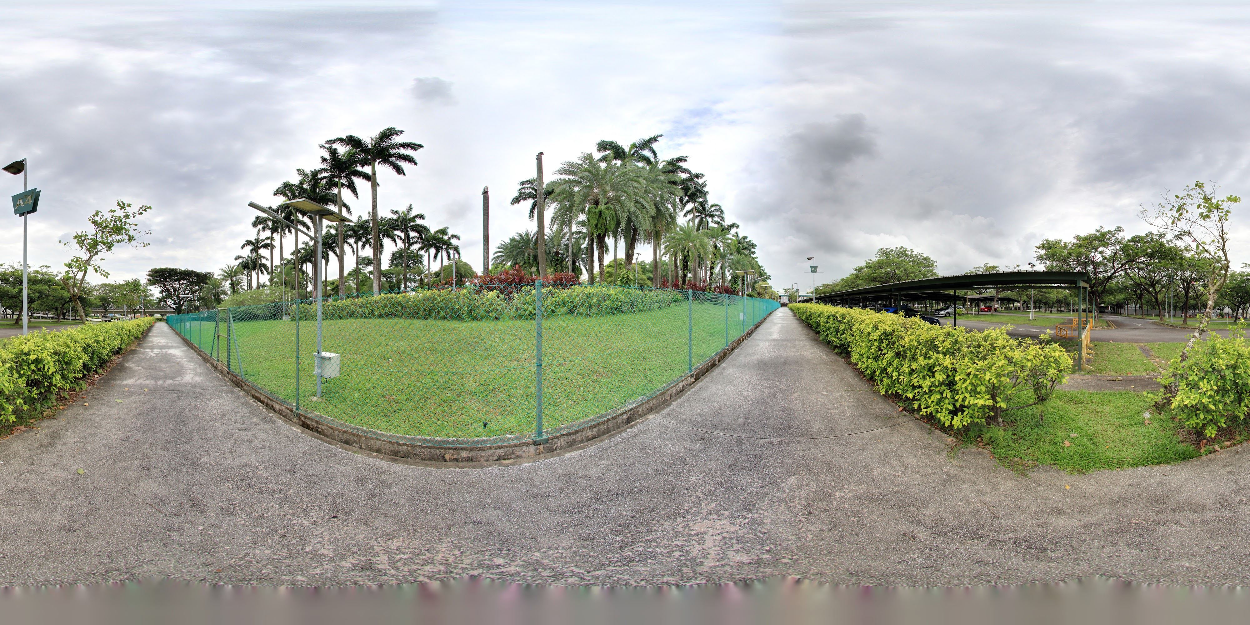 Historic Track and Tropical Landscape