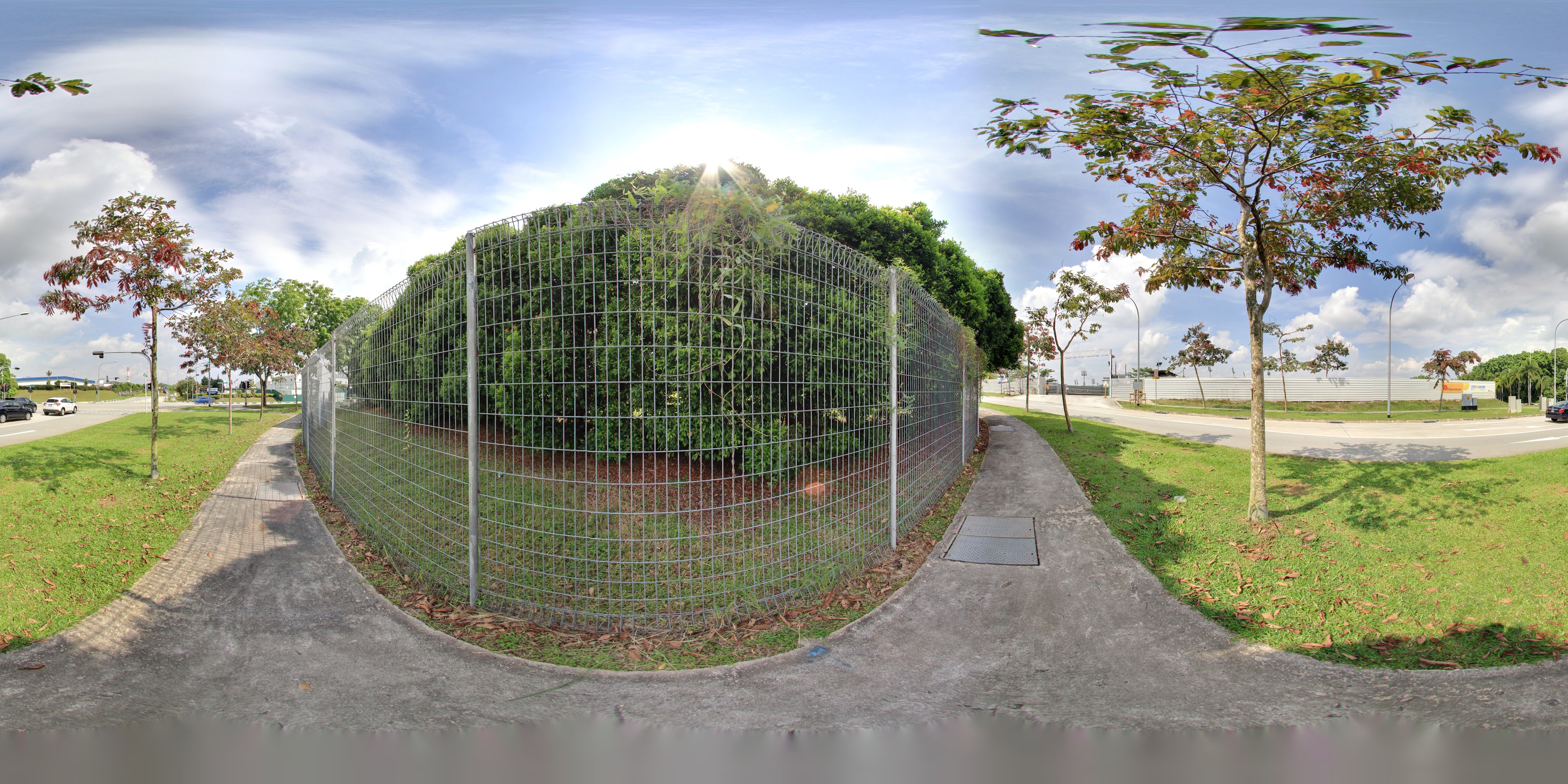 Equestrian Fencing at Roadside