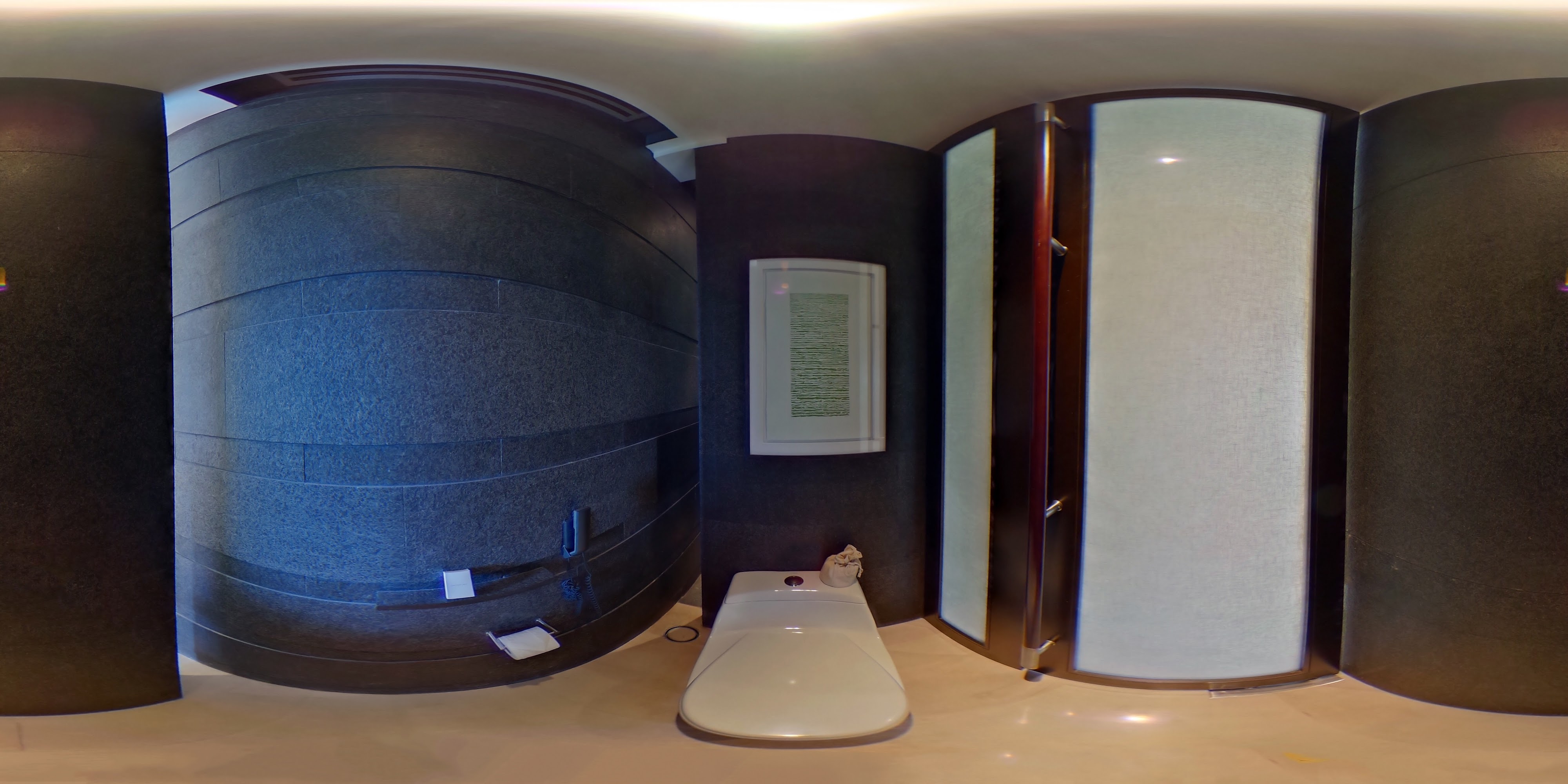 Luxurious Curved Bathroom Interior