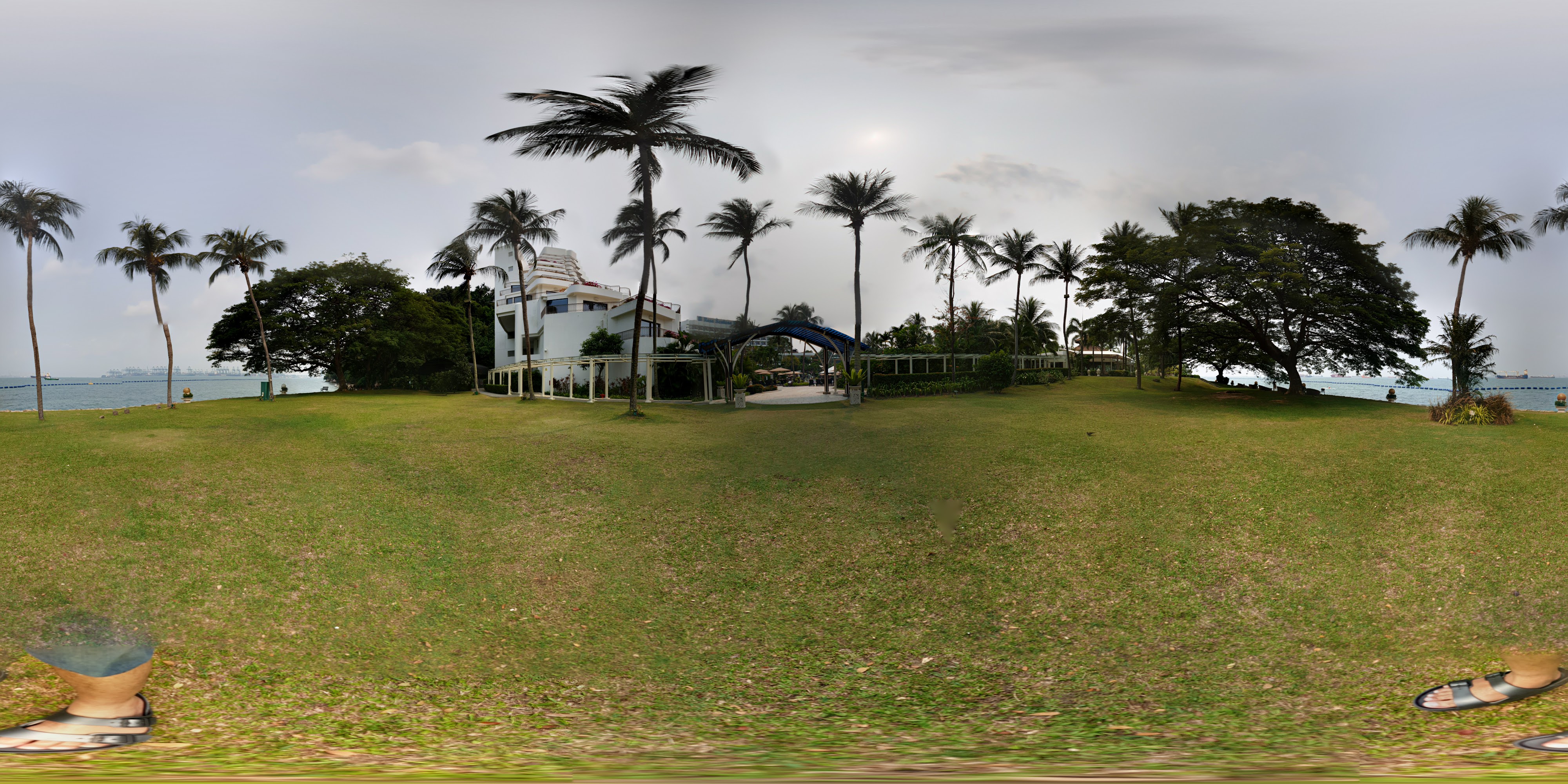 Tropical Resort With Palm Trees