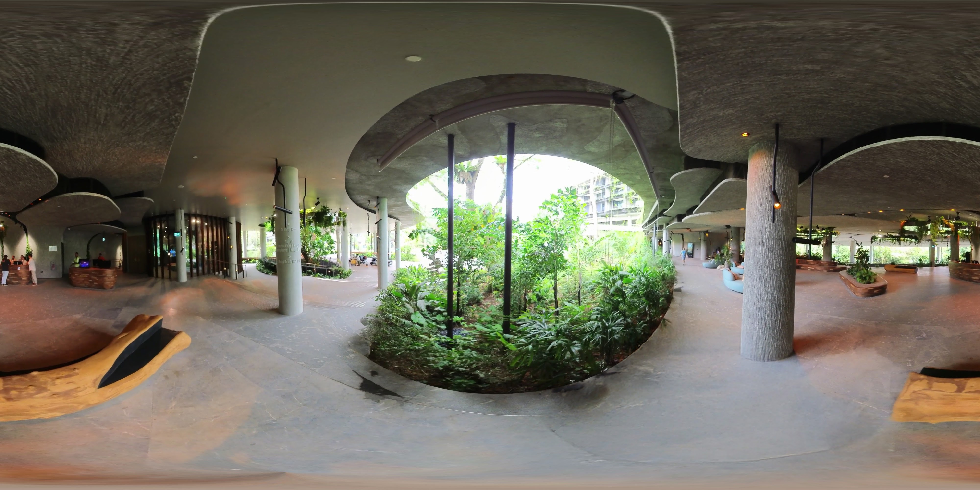 Lush Covered Walkway Oasis