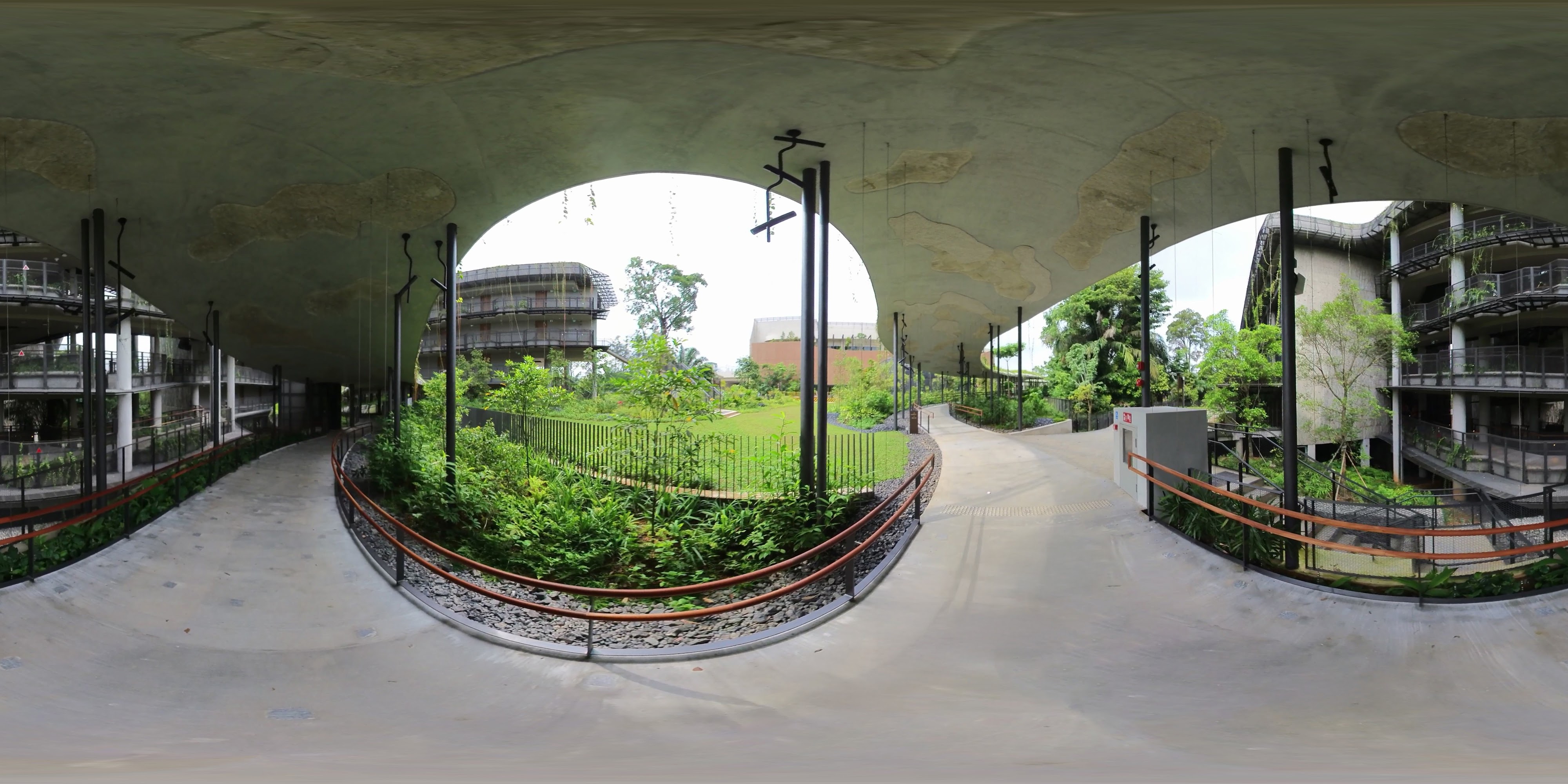 Serene Greenery Between Buildings