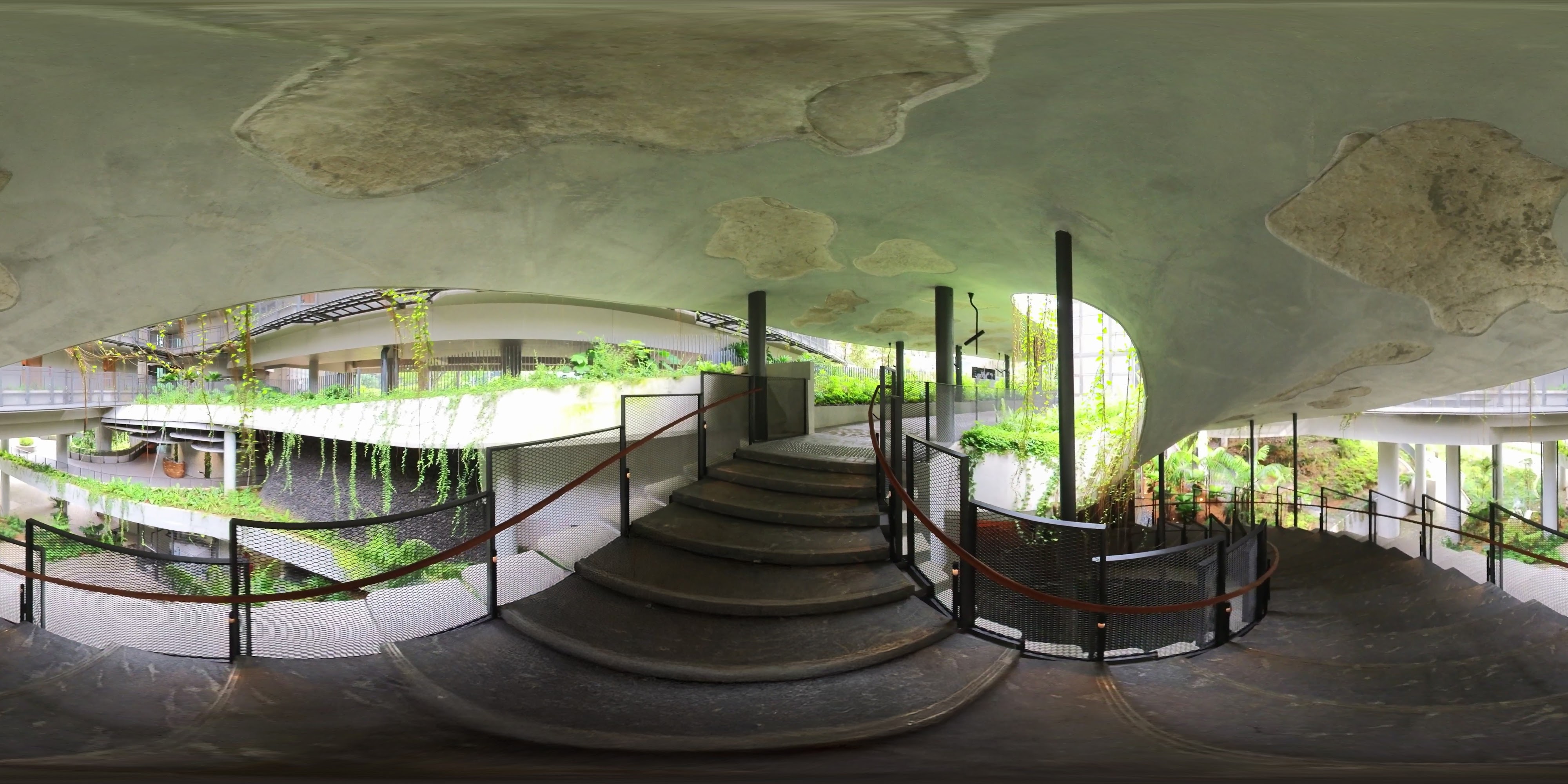 Elegant Staircase Nature Pathway